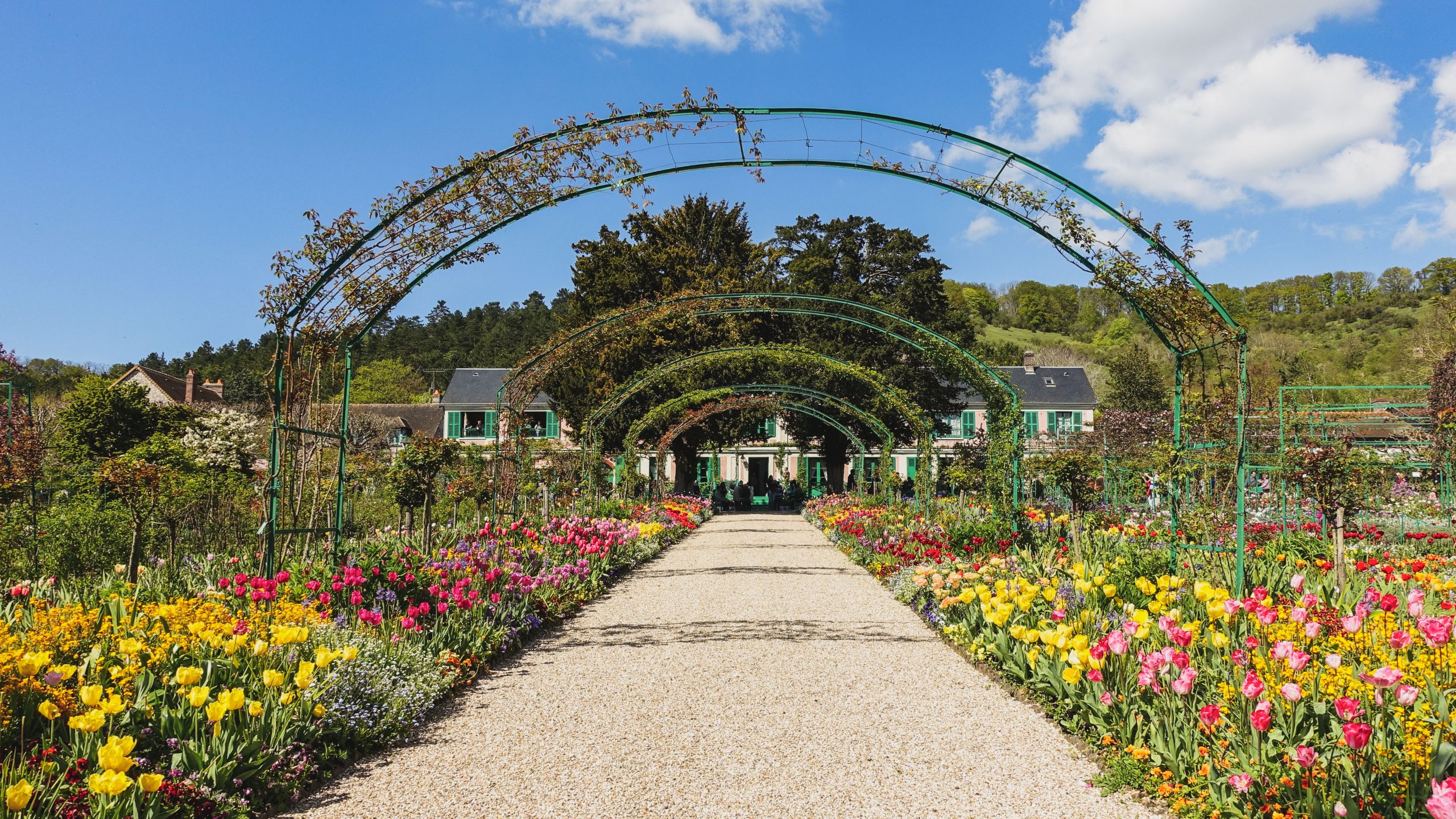 Allée de tulipes à Giverny