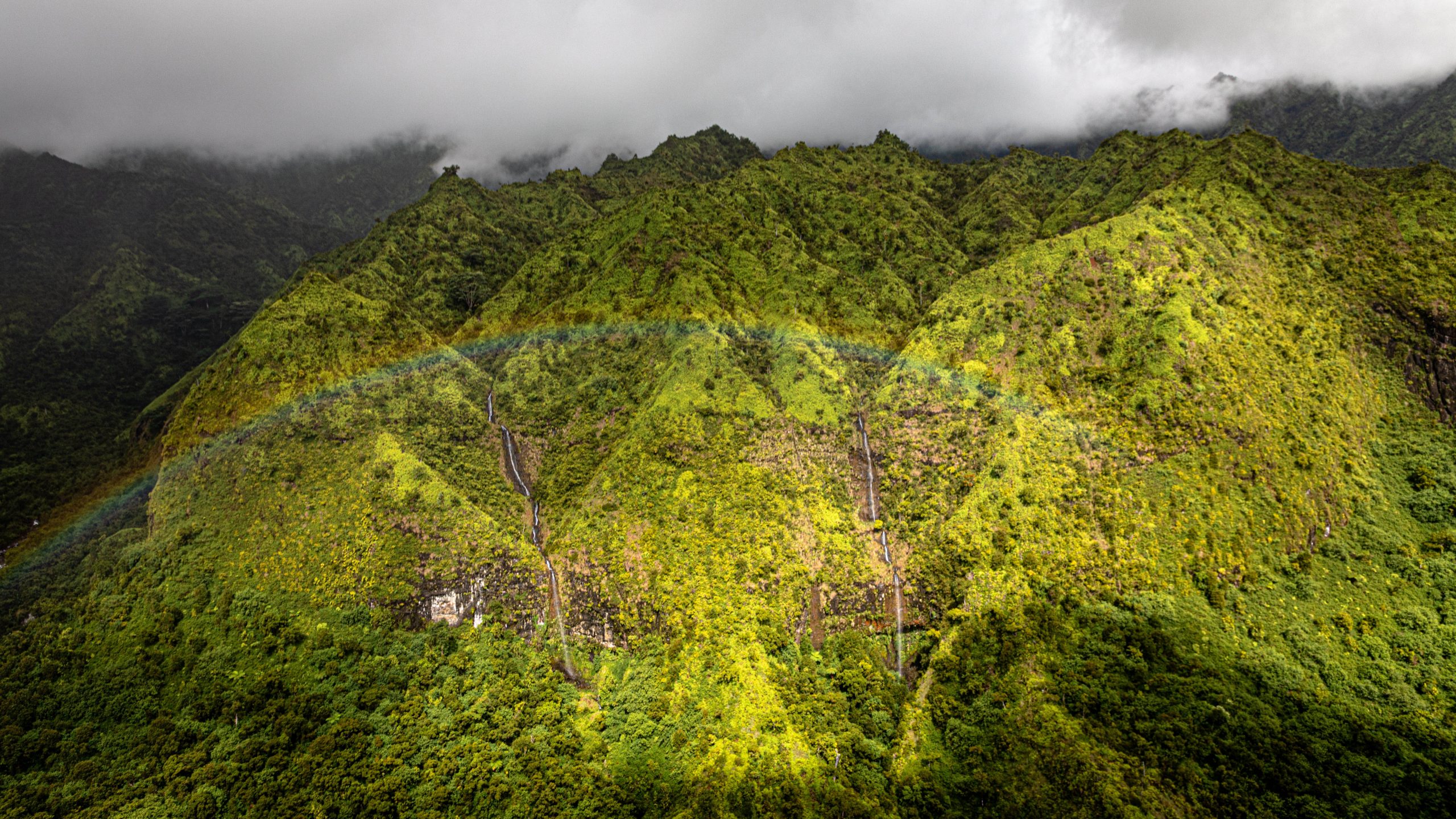Arc-en-ciel sur montagne verte