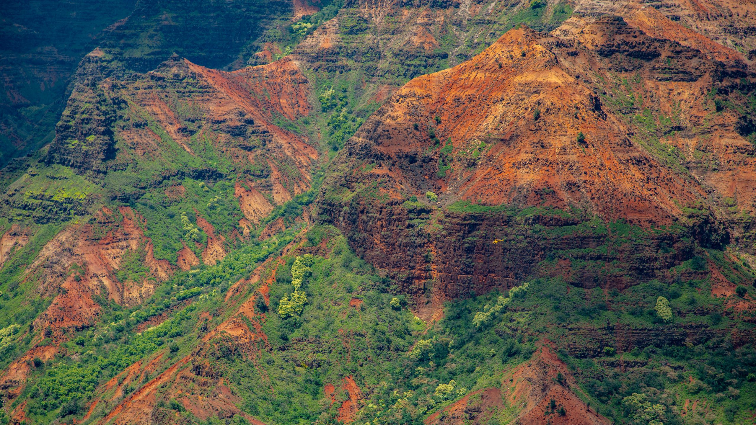 Canyon de Waimea