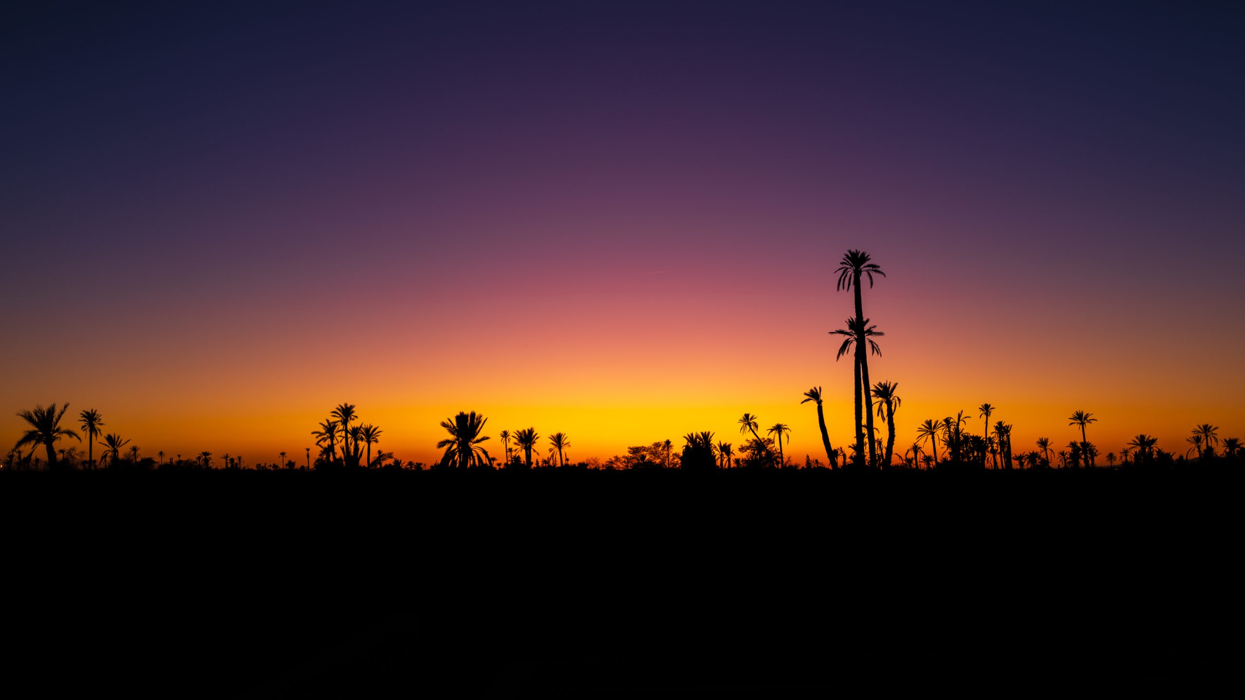 Coucher de Soleil Marocain-1