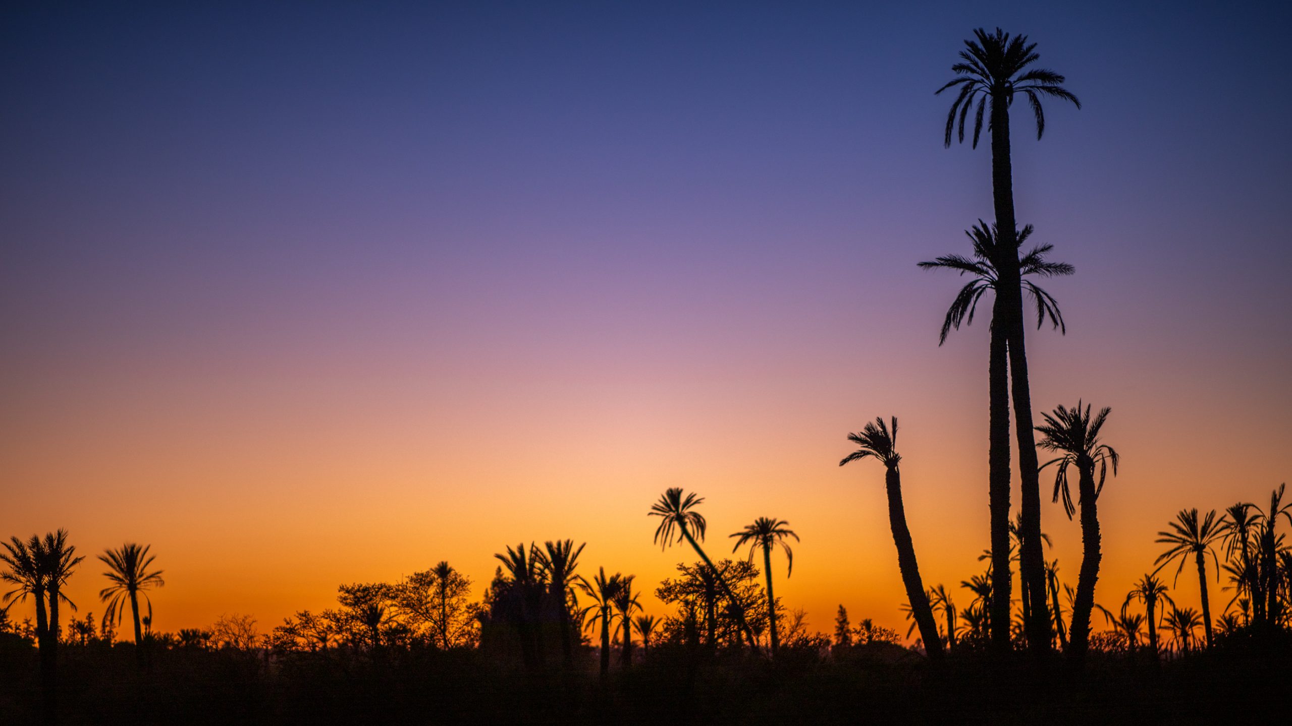 Coucher de Soleil Marocain-2