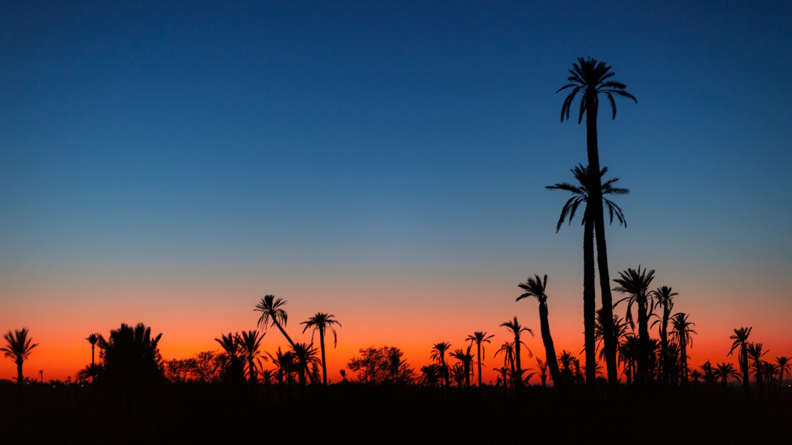 Coucher de Soleil Marocain-5