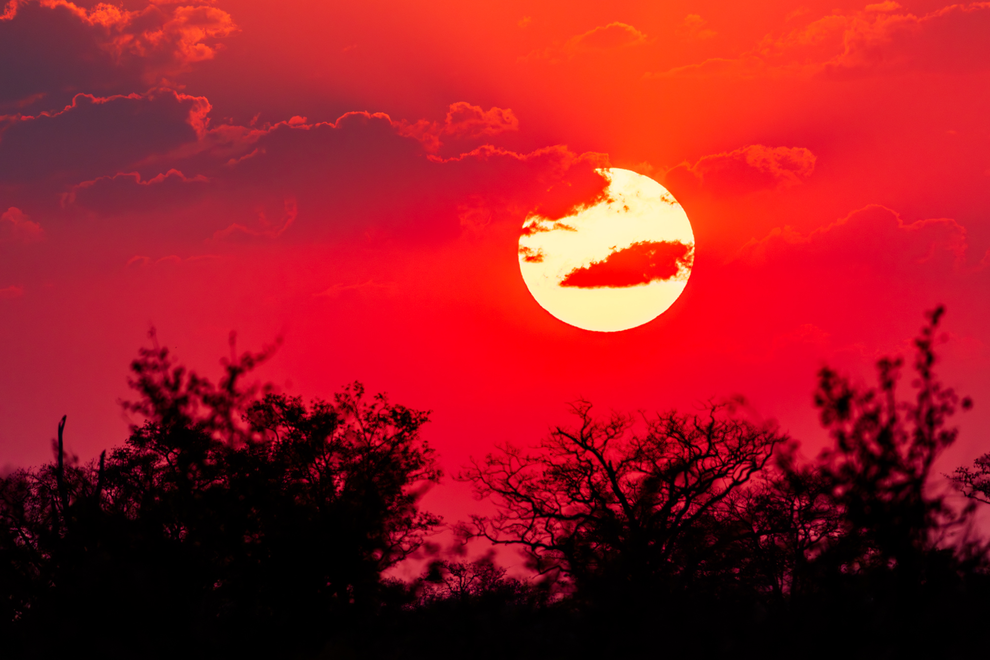 Coucher de Soleil sur la Savane