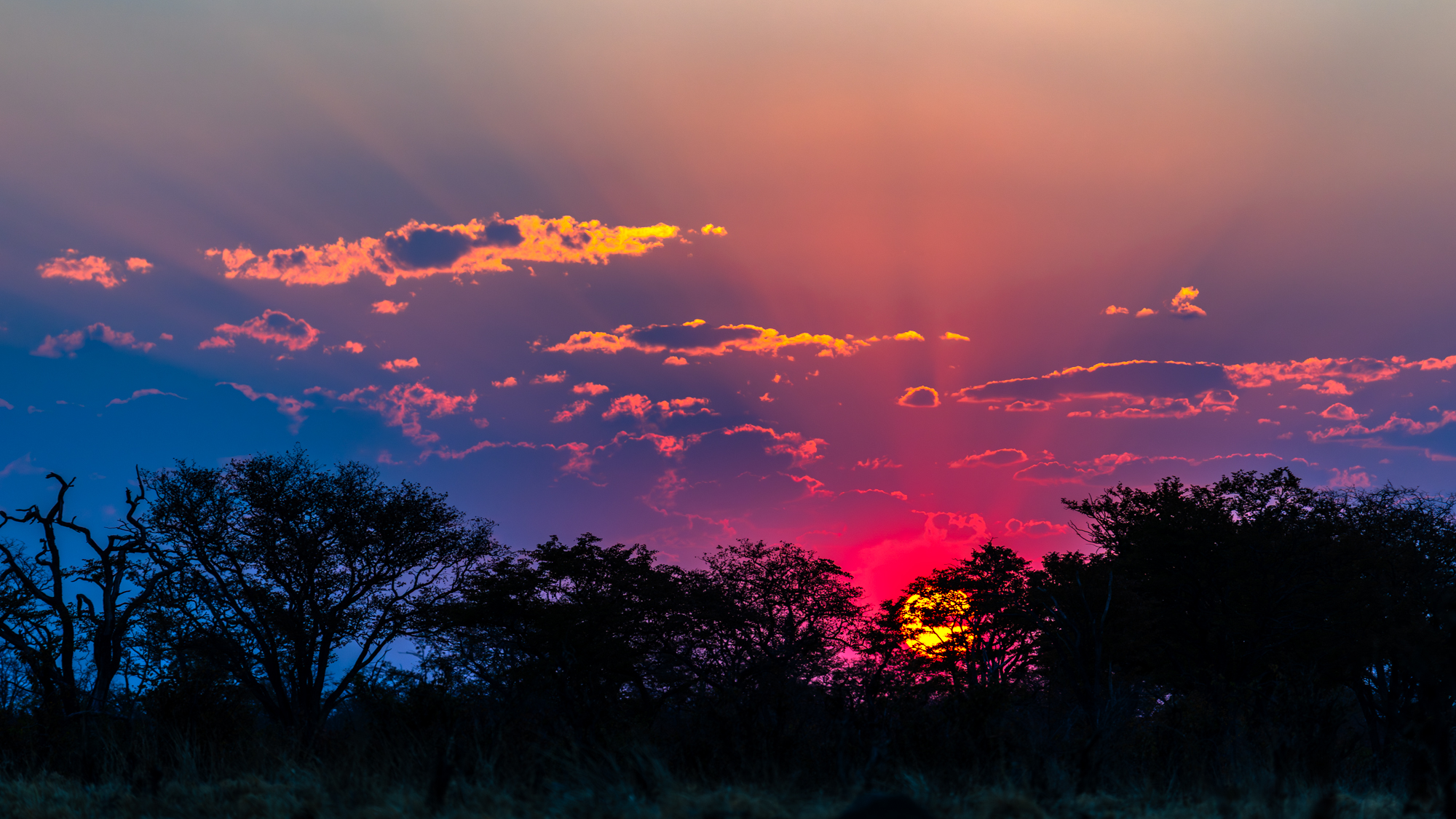 Coucher de soleil en savane africaine