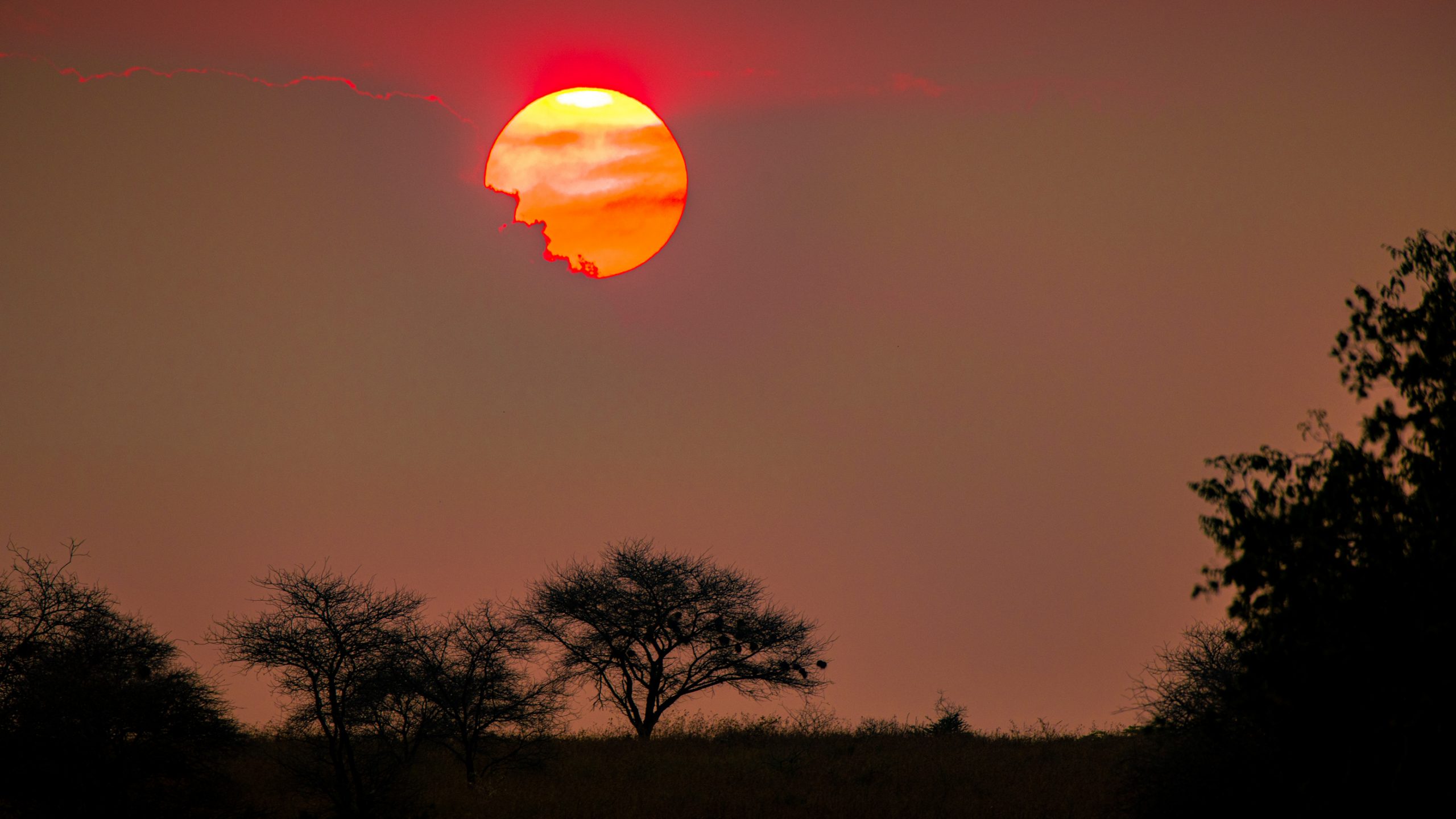 Coucher de soleil sur acacias