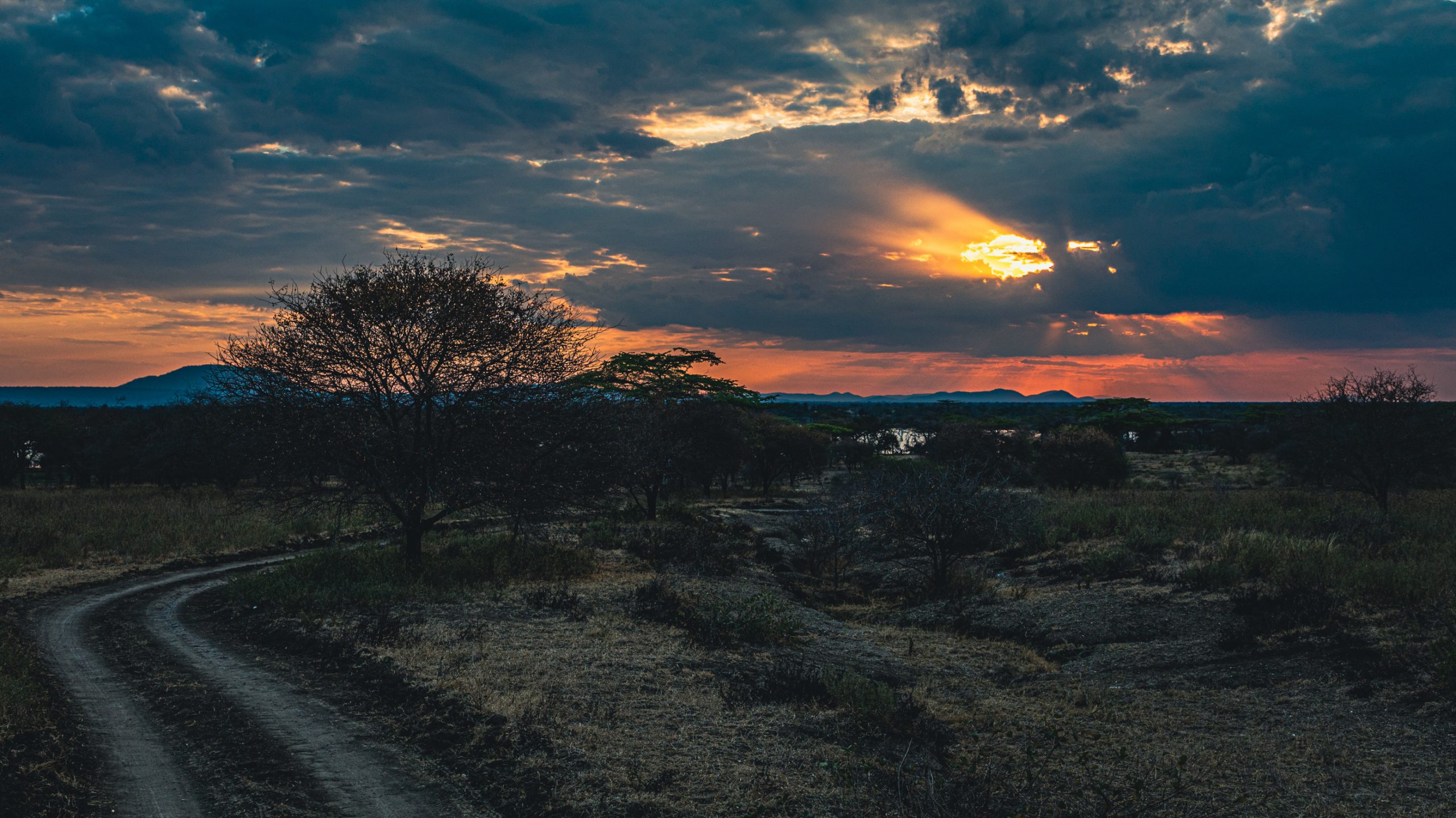 Coucher de soleil sur savane africaine