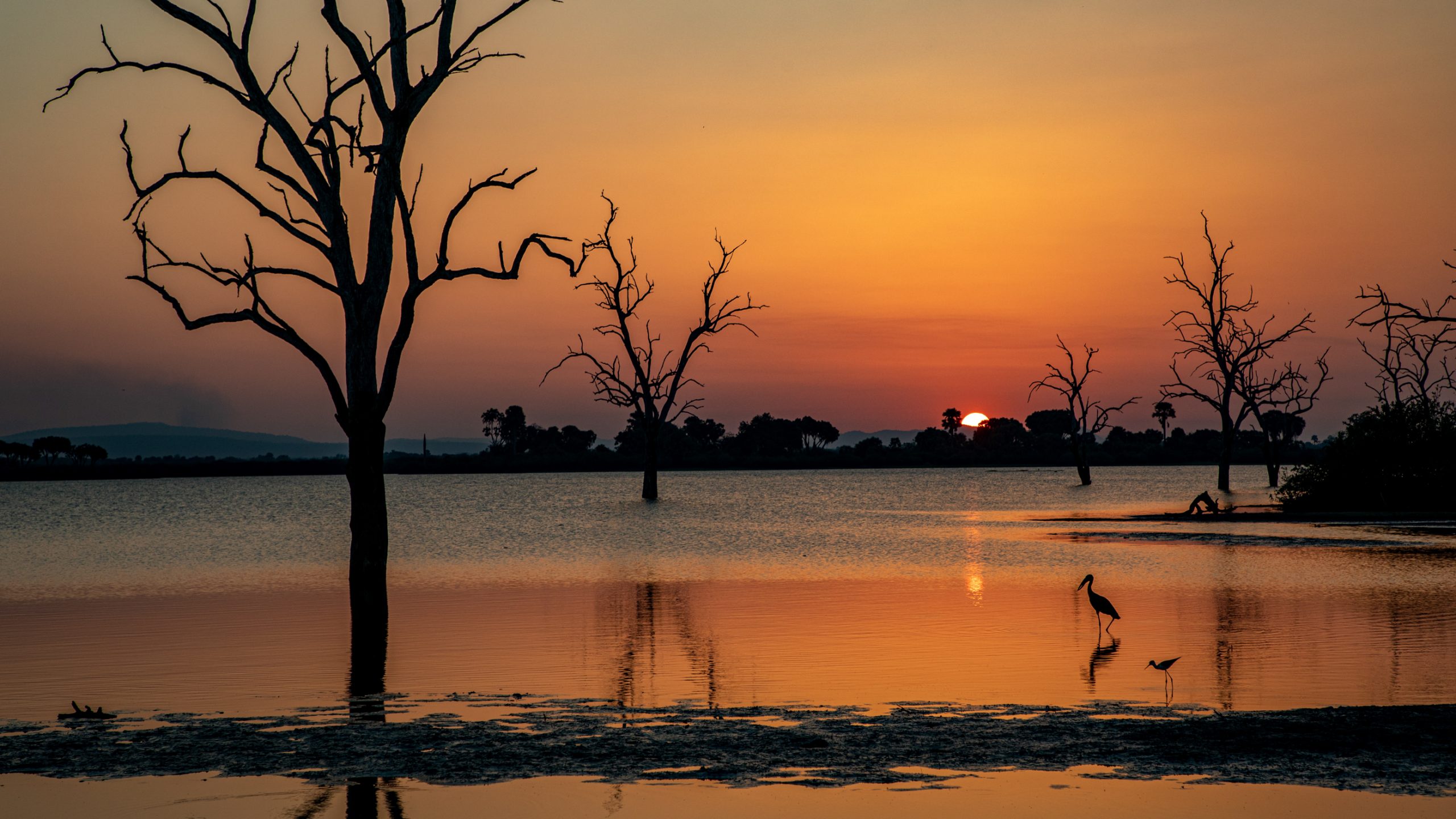 Crépuscule sur lac aux hérons
