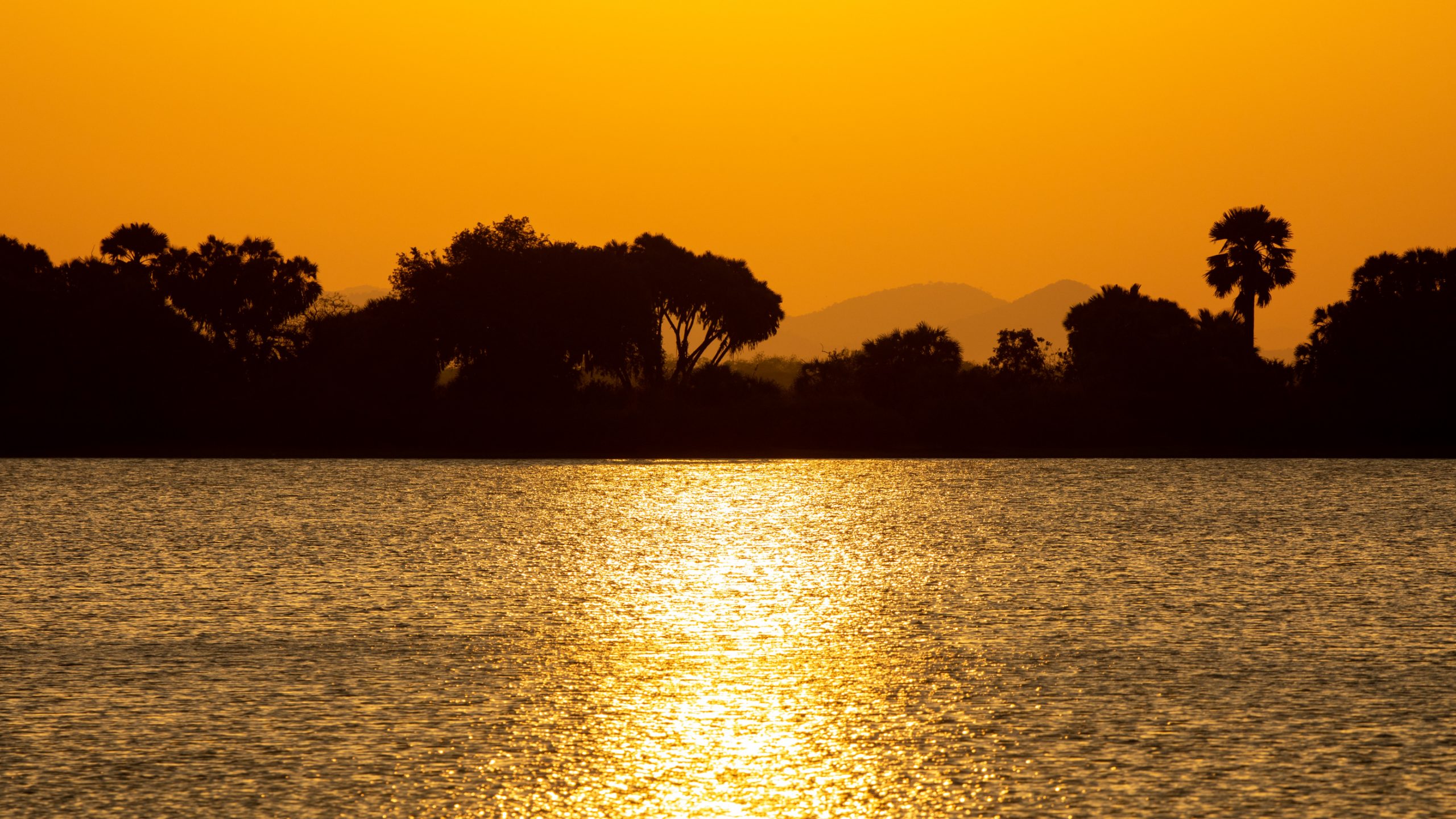 Delta de l'Okavango au crépuscule
