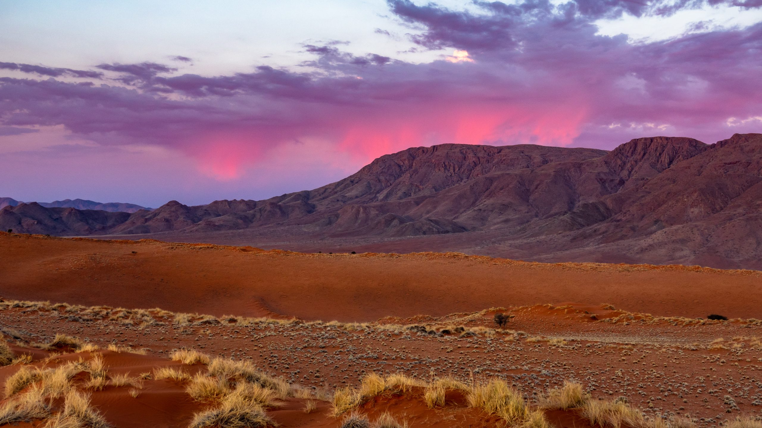 Dunes Rouges du Namib