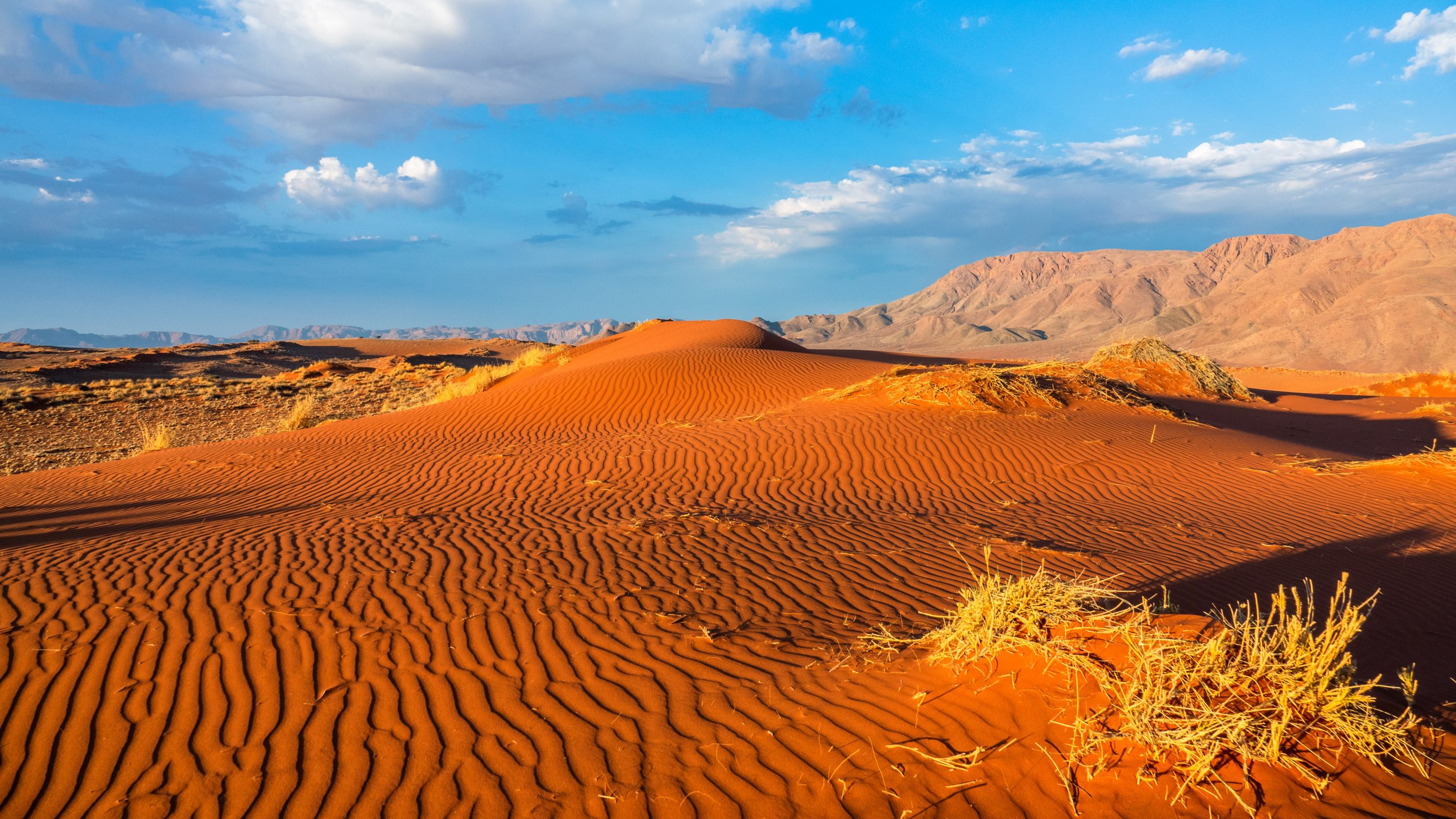 Dunes de Sossusvlei, Namibie
