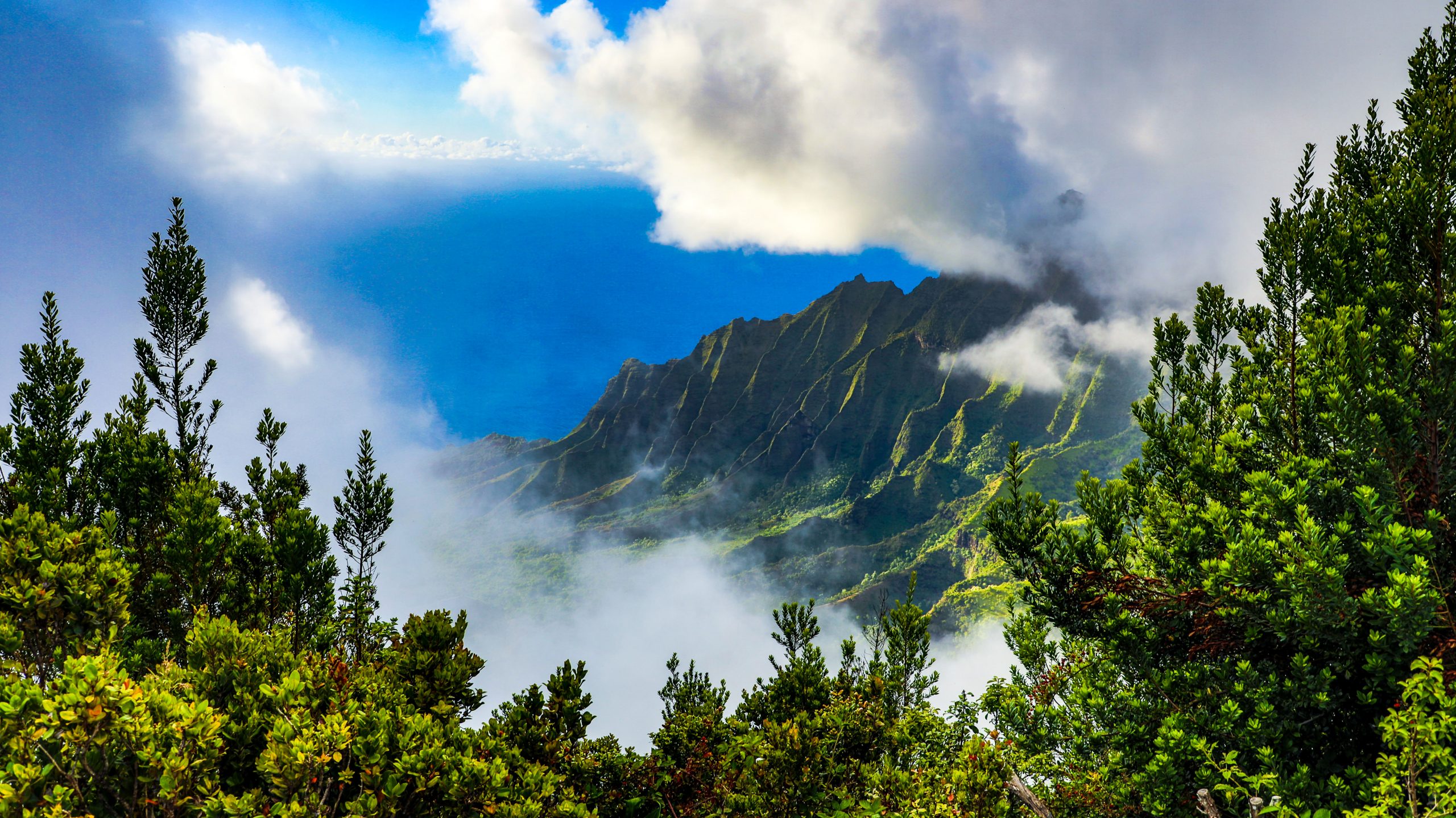 Falaises de la Côte Na Pali 6