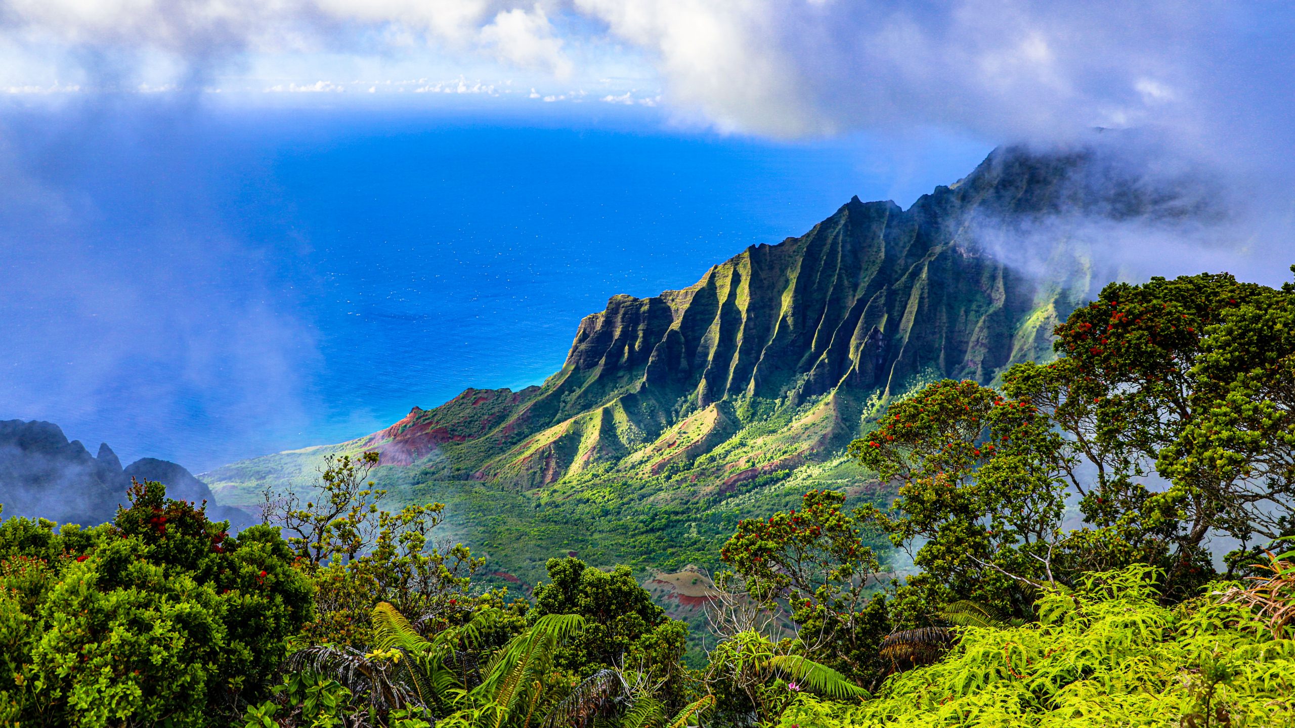 Falaises de la Côte Na Pali 7