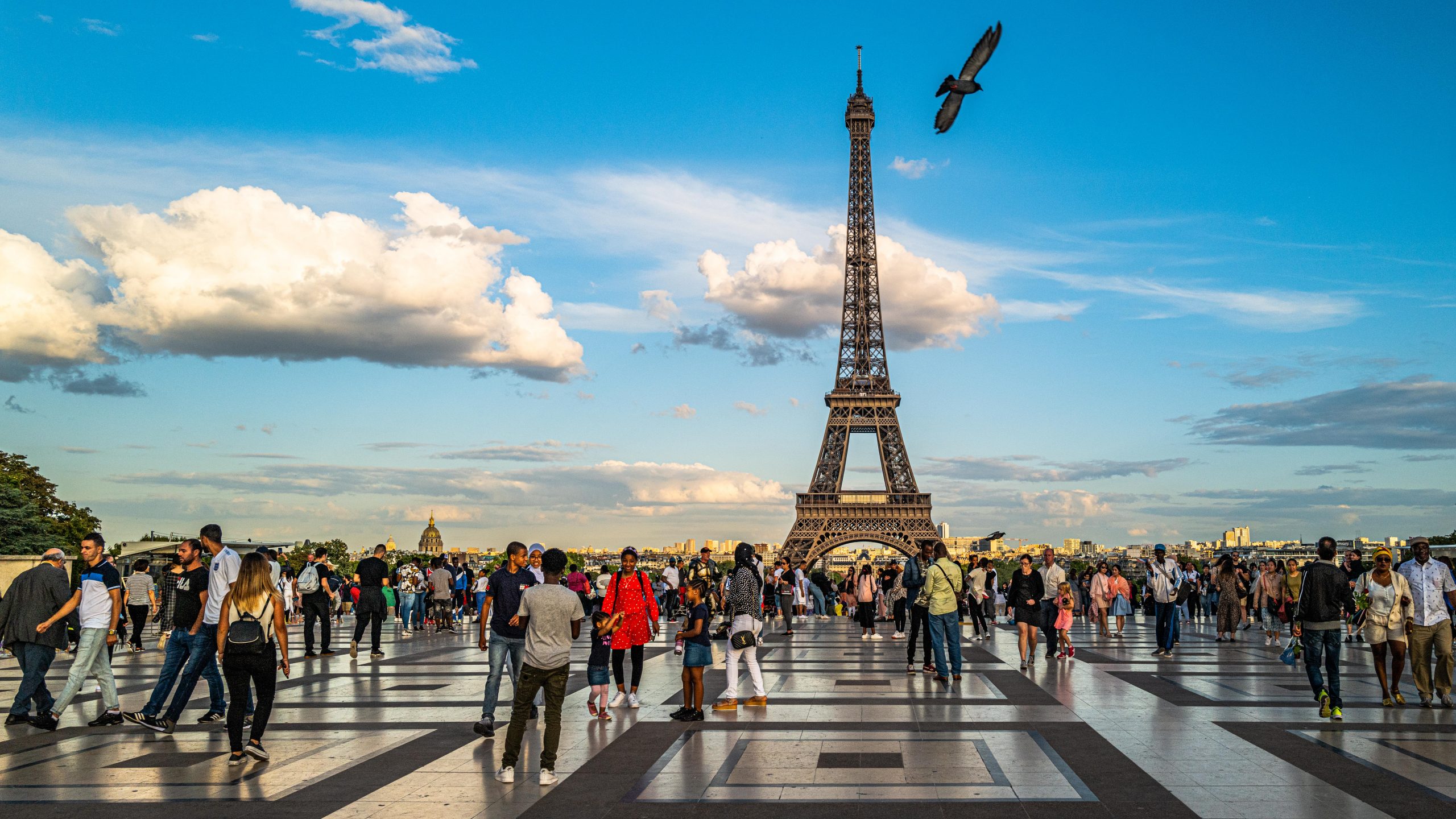 Flânerie au Trocadéro Tour Eiffel