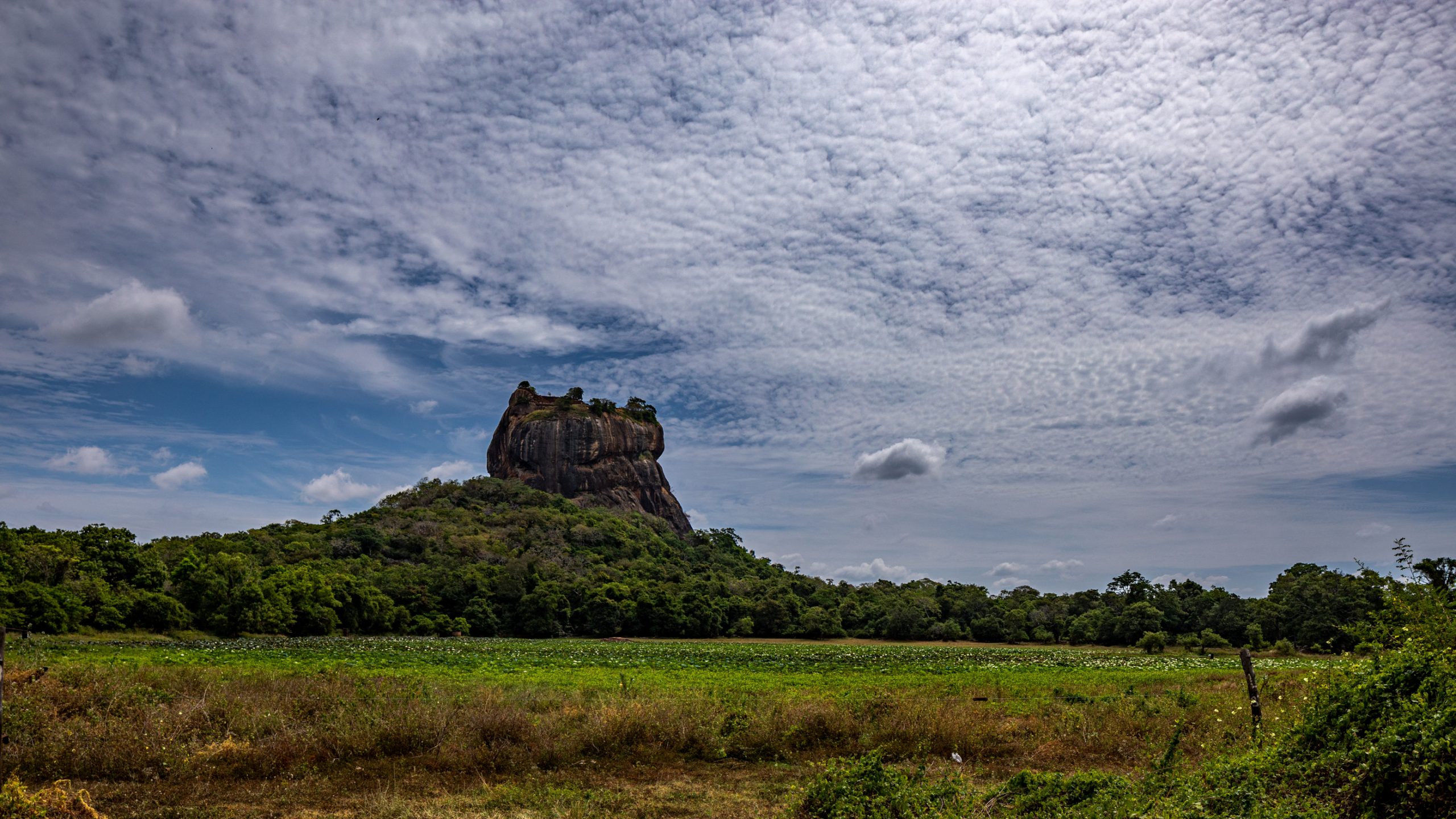 Forteresse de Sigiriya au Sri Lanka