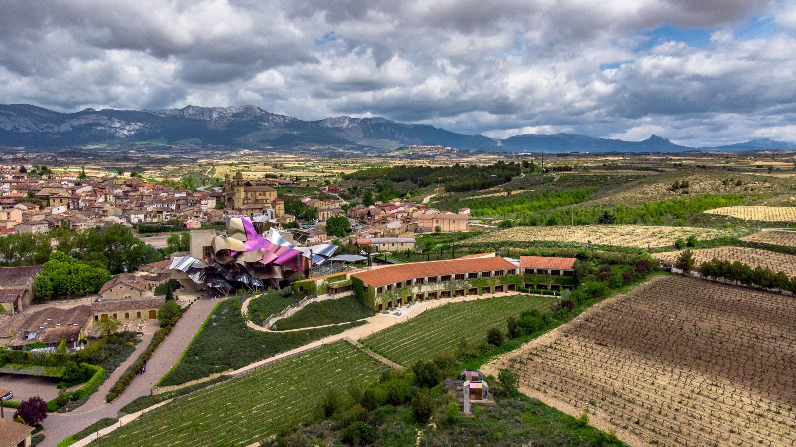 Hôtel Marqués de Riscal-11