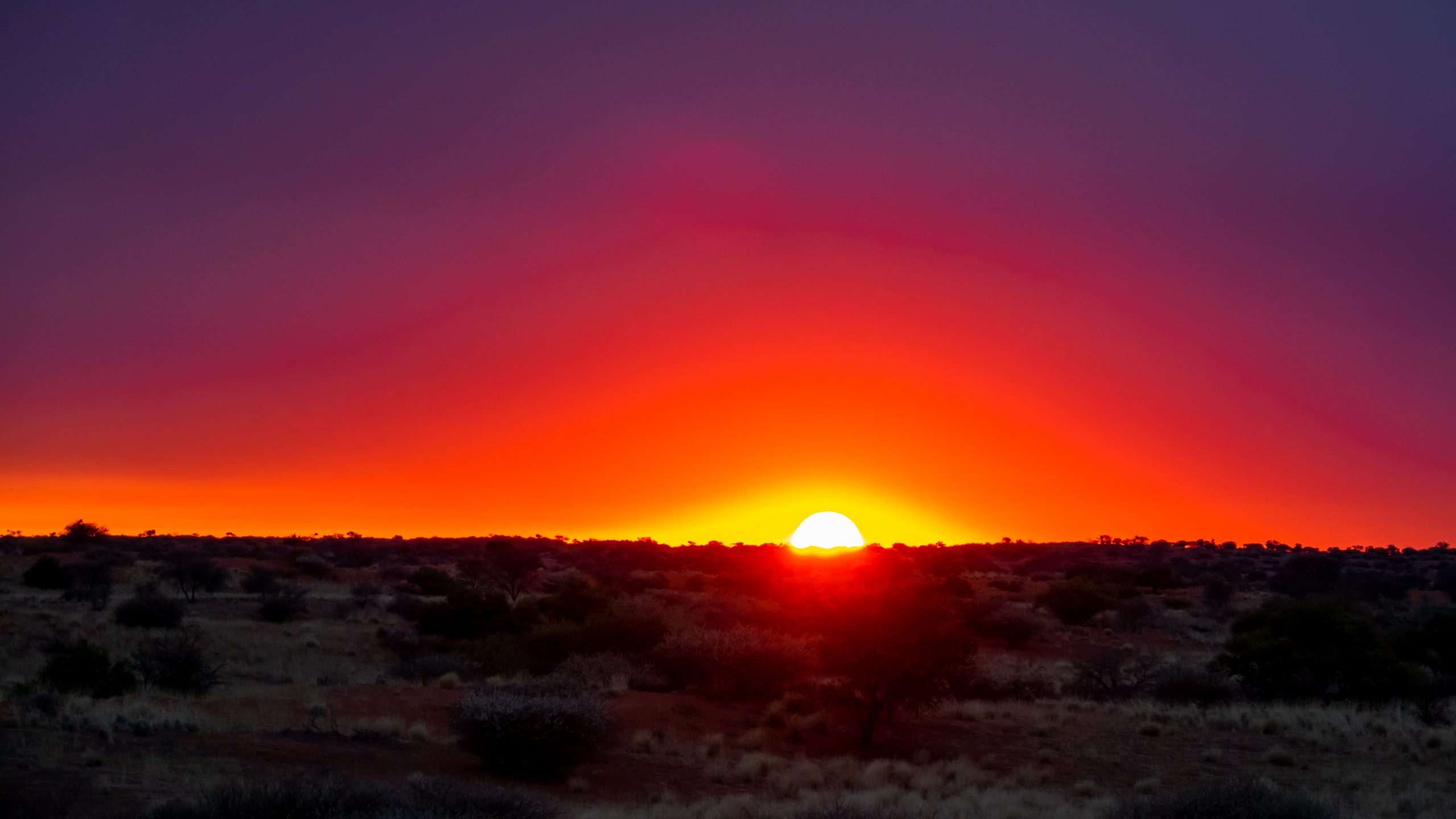 Lever de soleil sur l’Outback australien