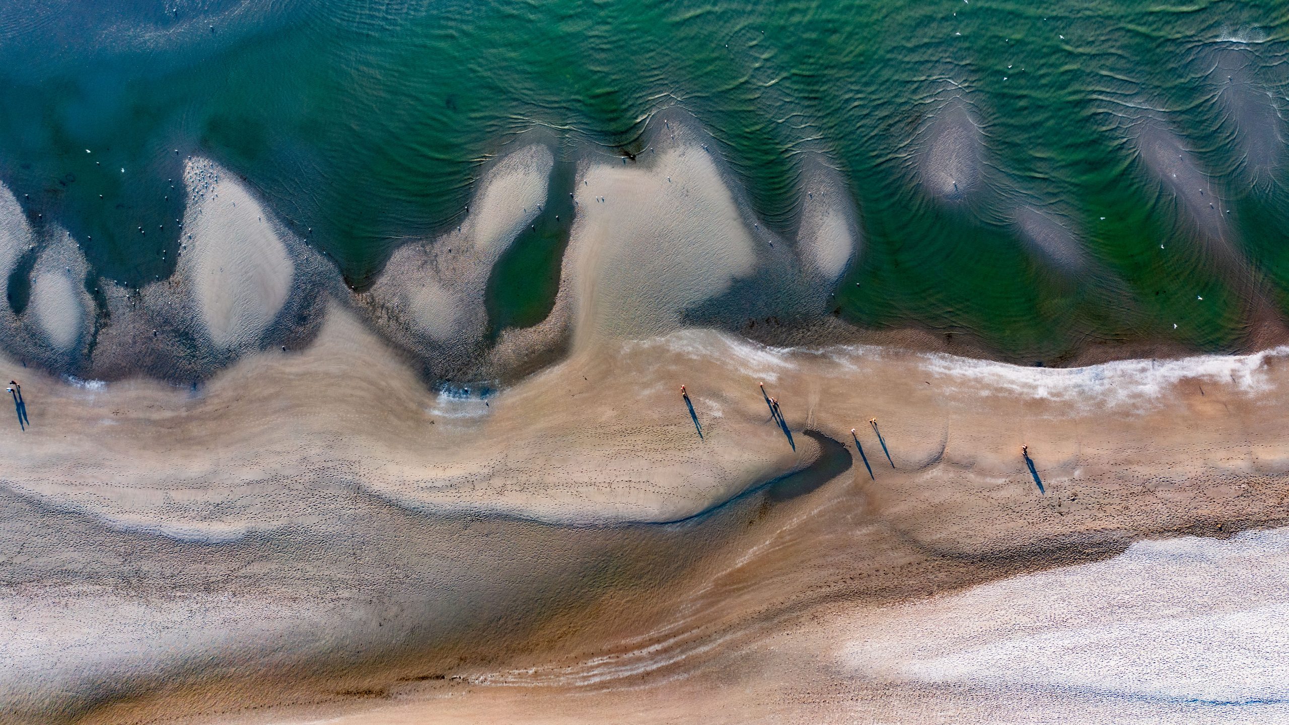 Marée basse sur bancs sableux