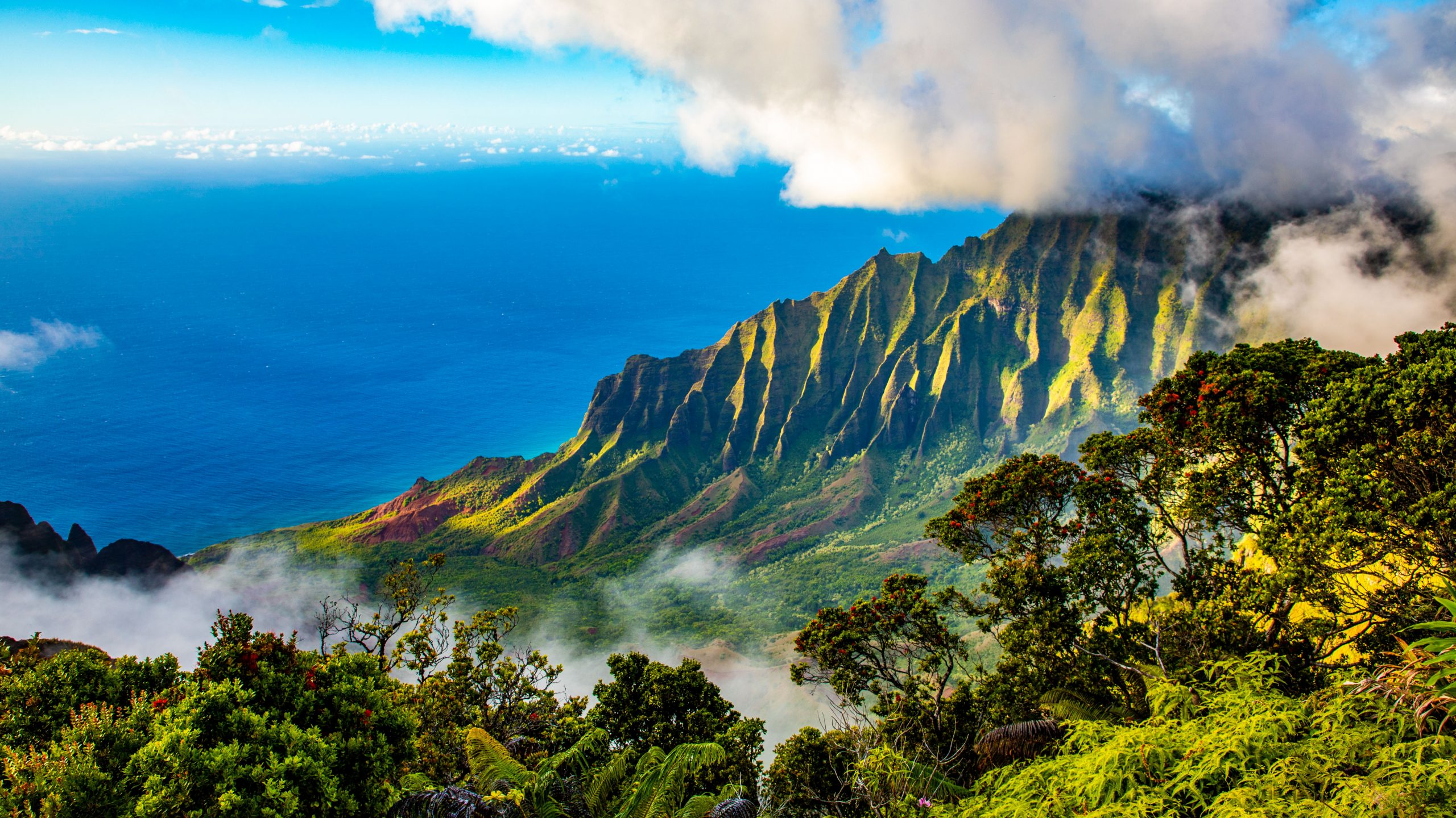 Panorama de la Côte Nā Pali