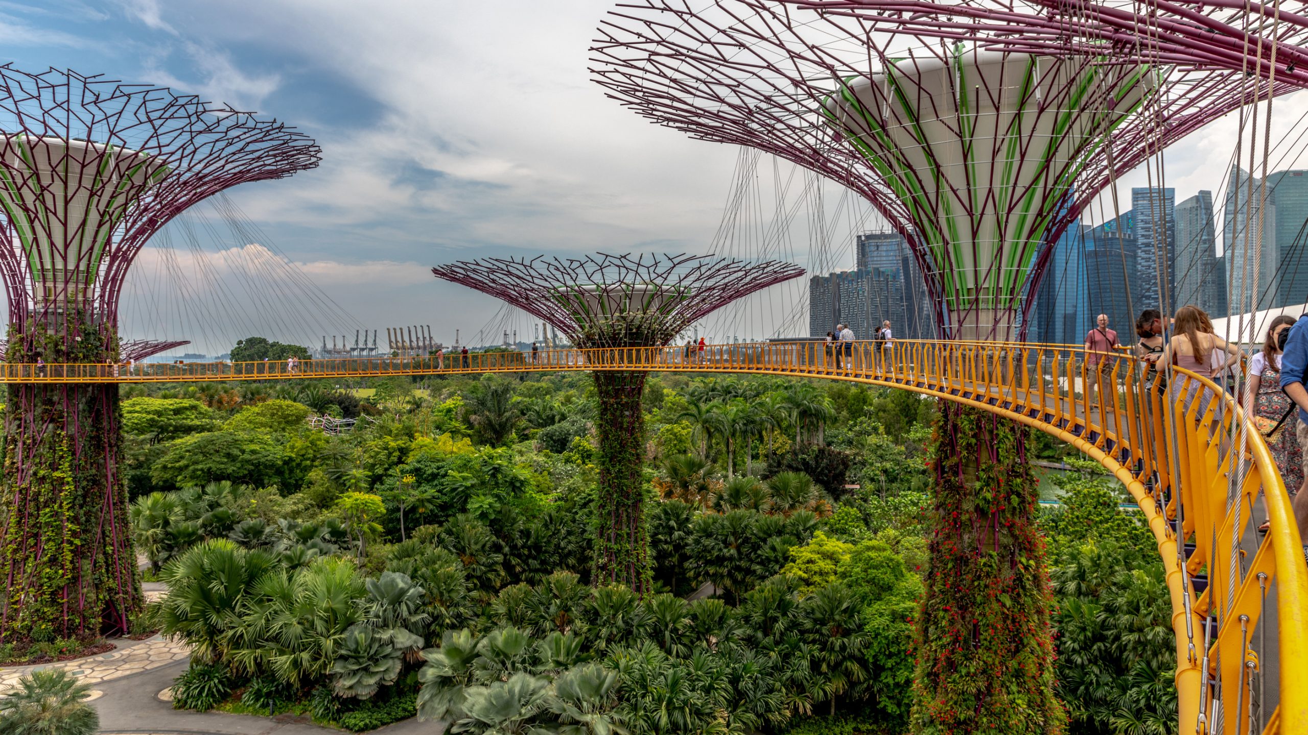 Passerelle des Supertrees de Singapour