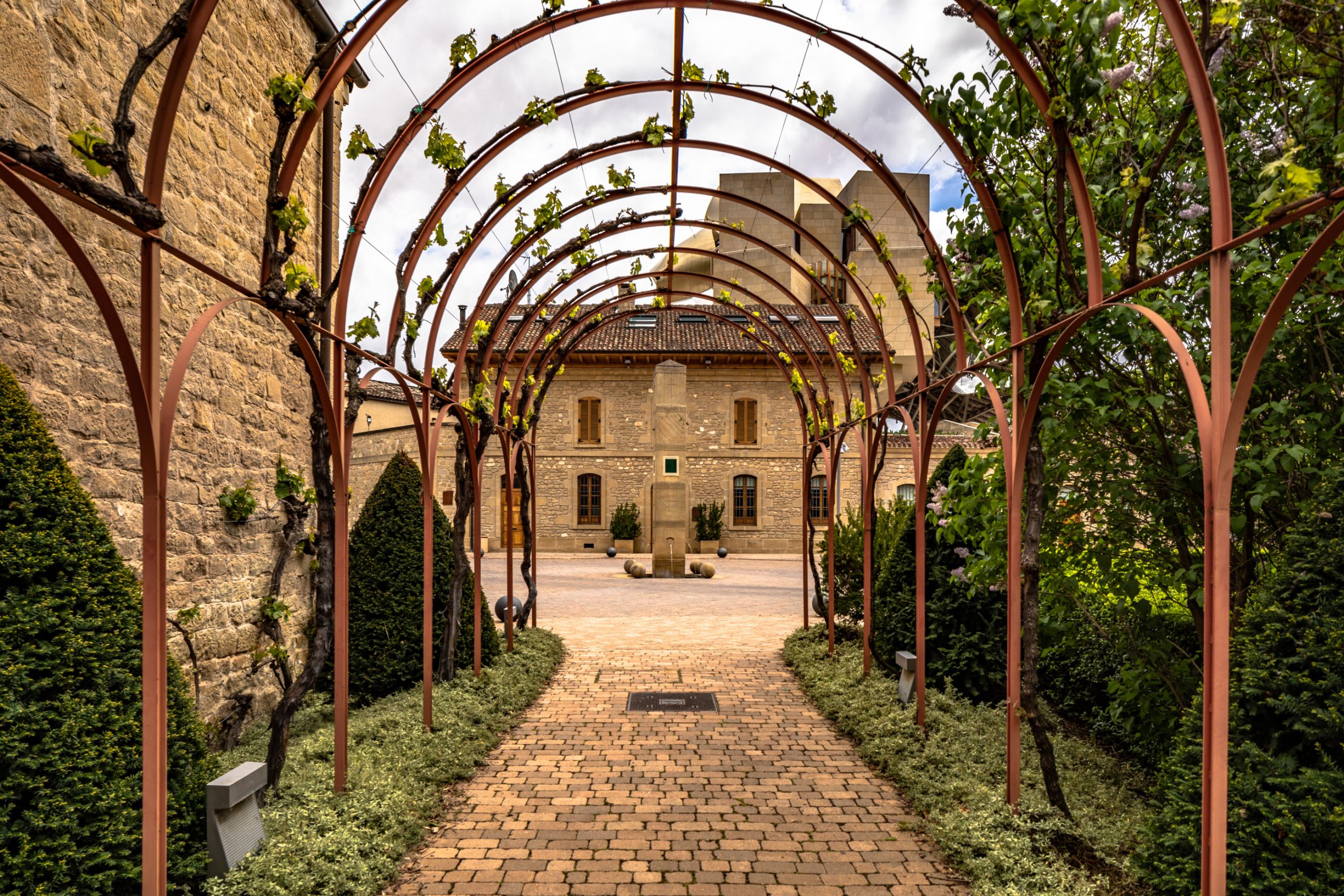 Pergola de Vignes et Cour