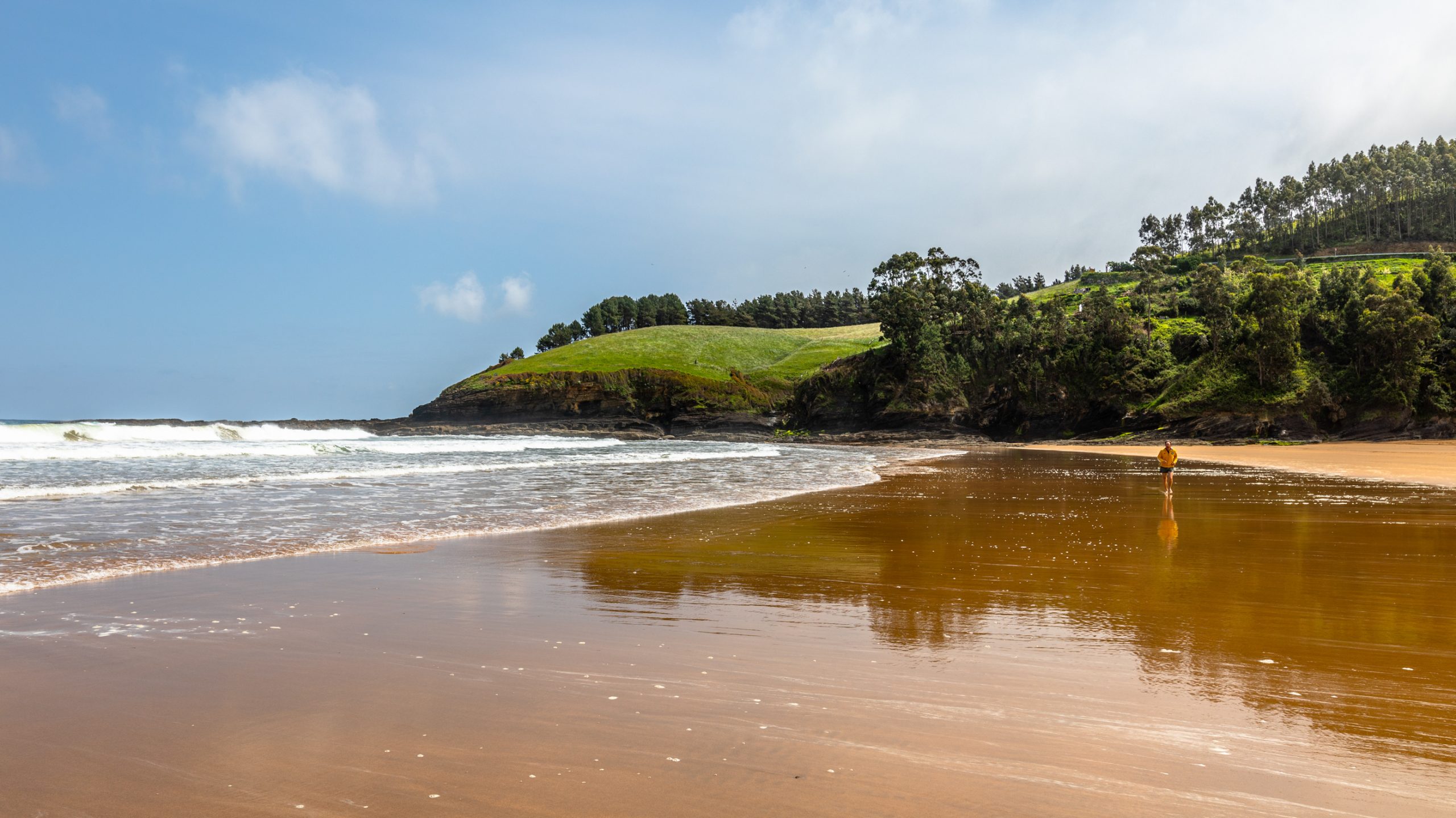 Plage et falaise herbeuse