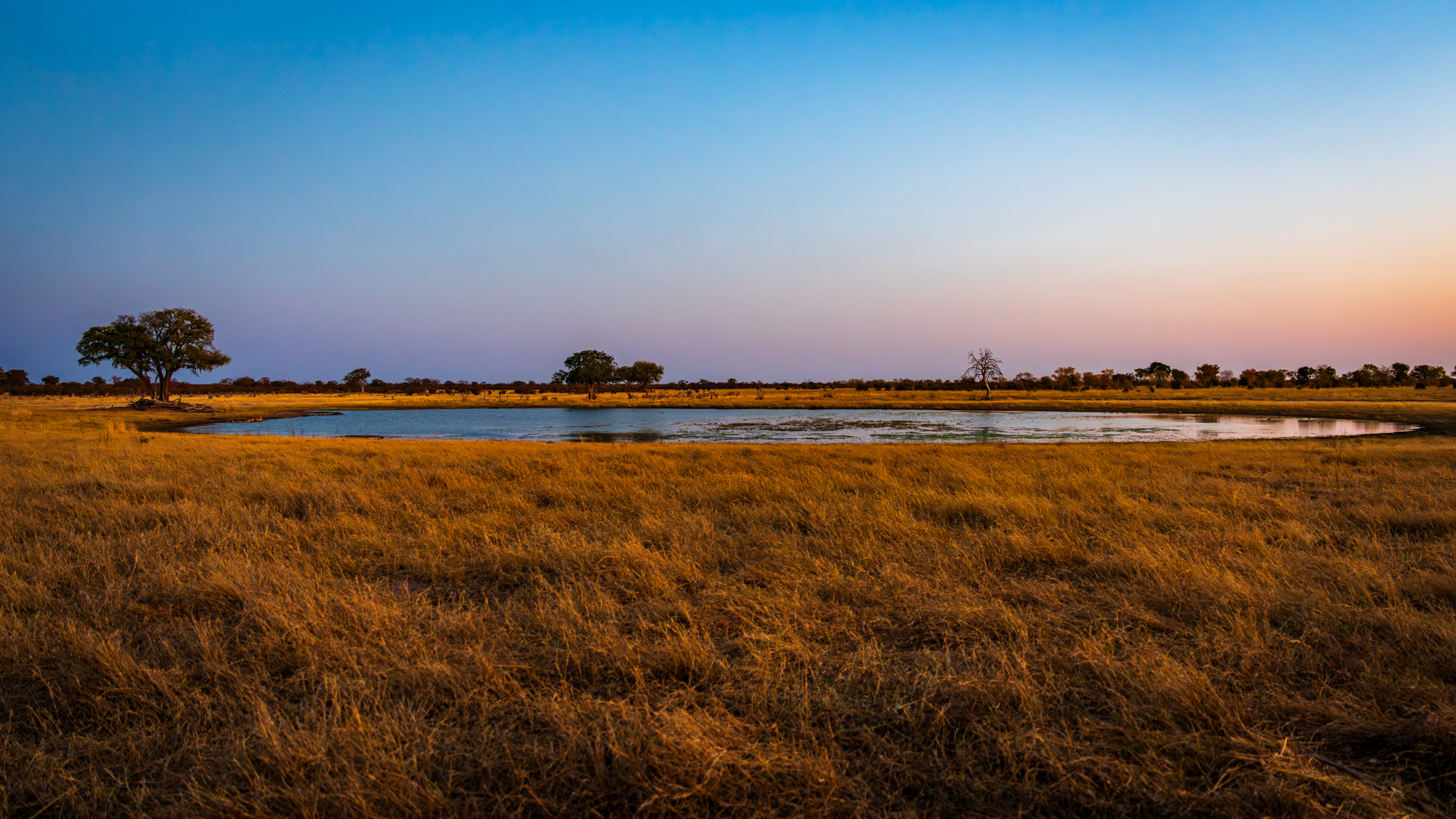 Point d’Eau de Savane Africaine