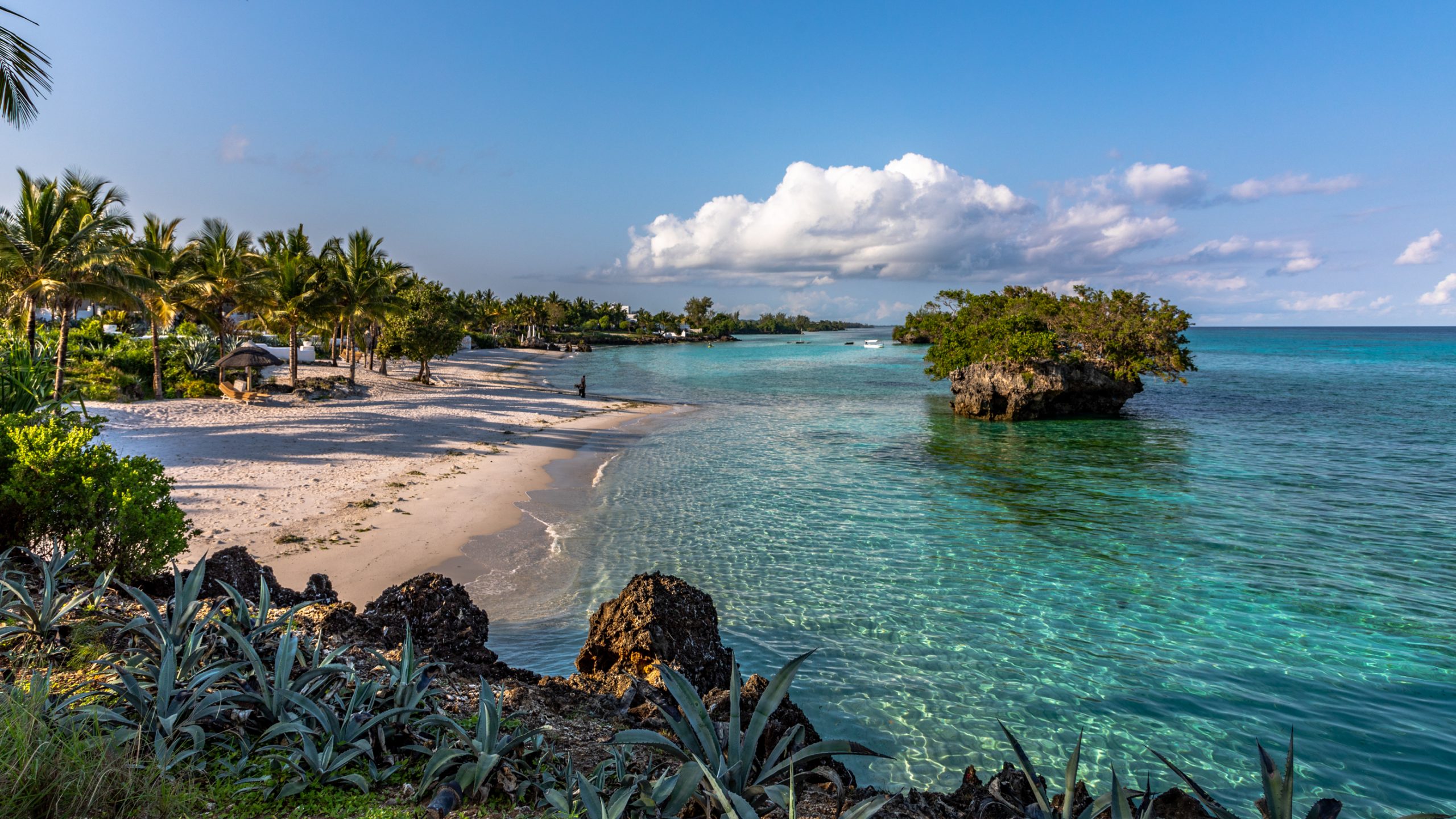 Roc corallien de Paje, Zanzibar