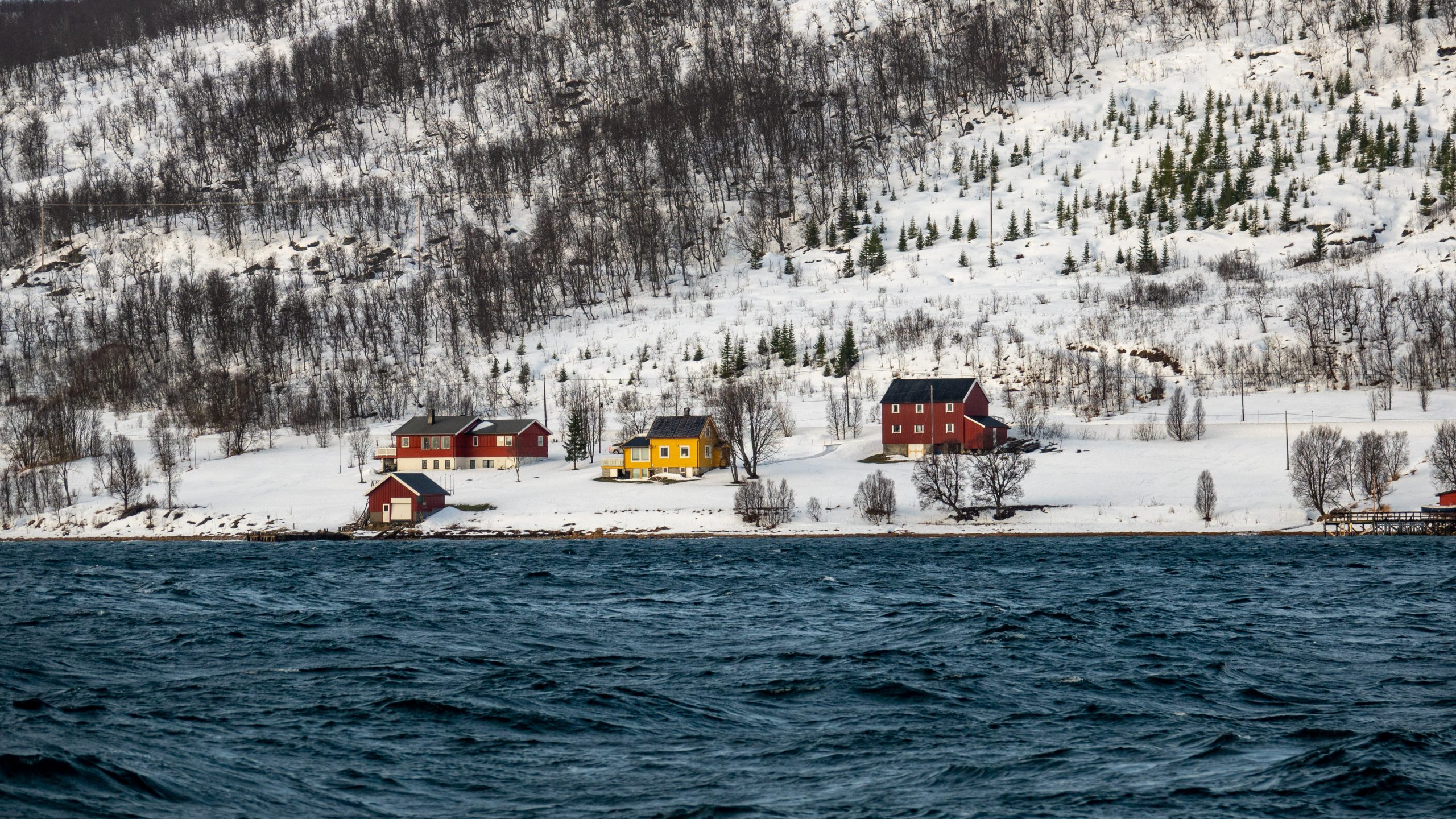Rorbuer au Bord du Fjord