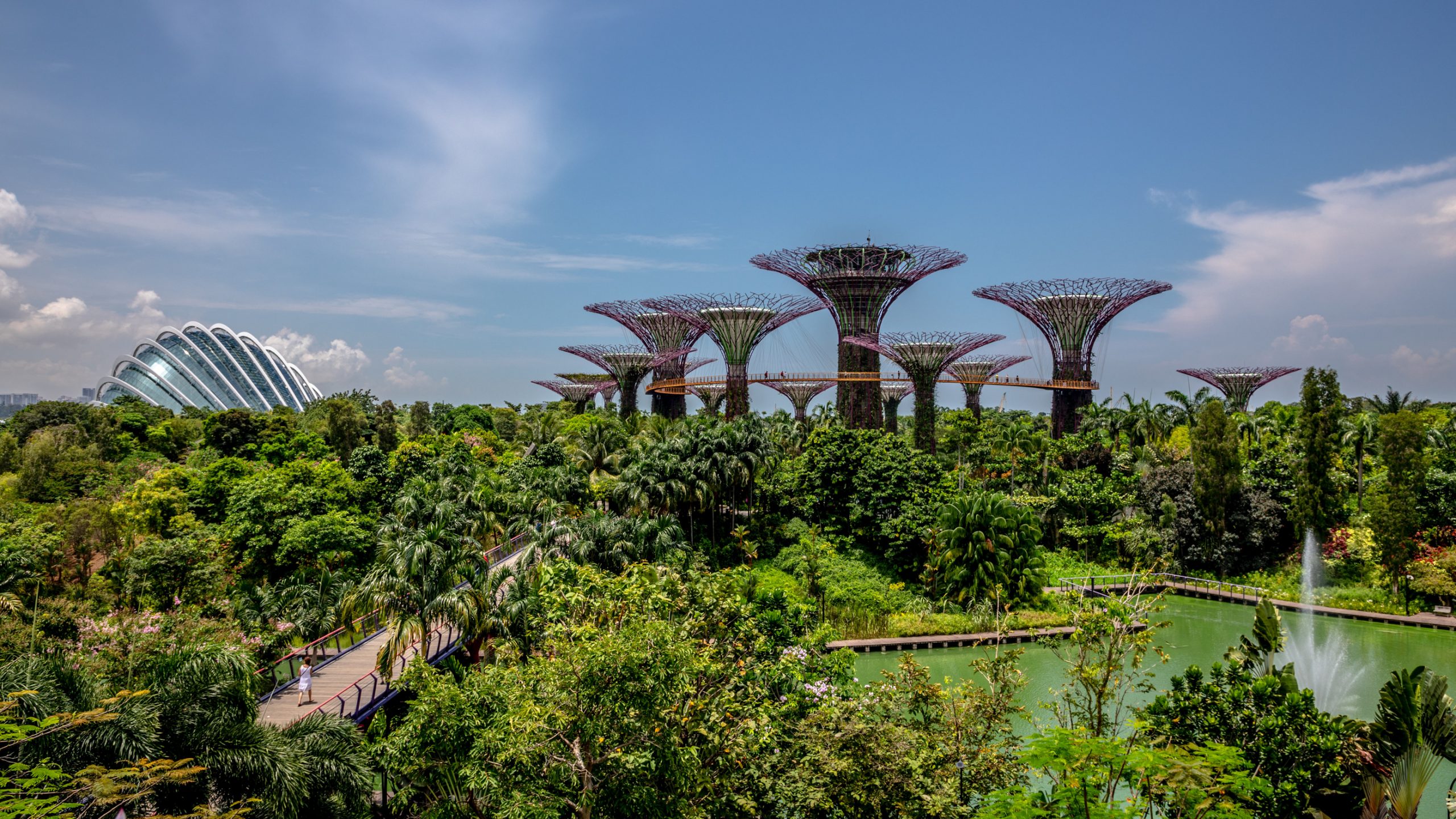 Supertrees de Gardens by the Bay