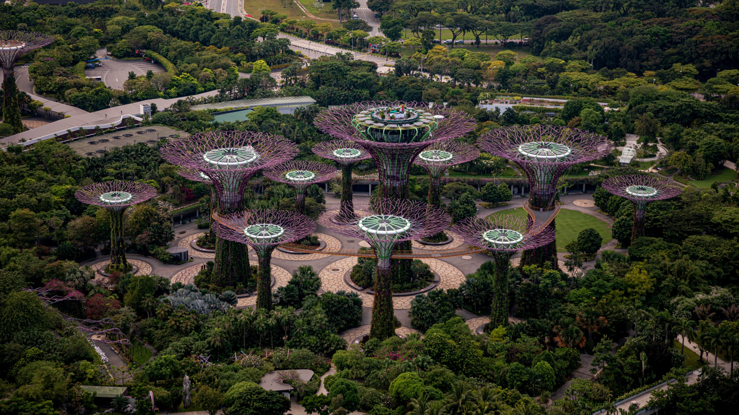 Supertrees du Gardens by the Bay