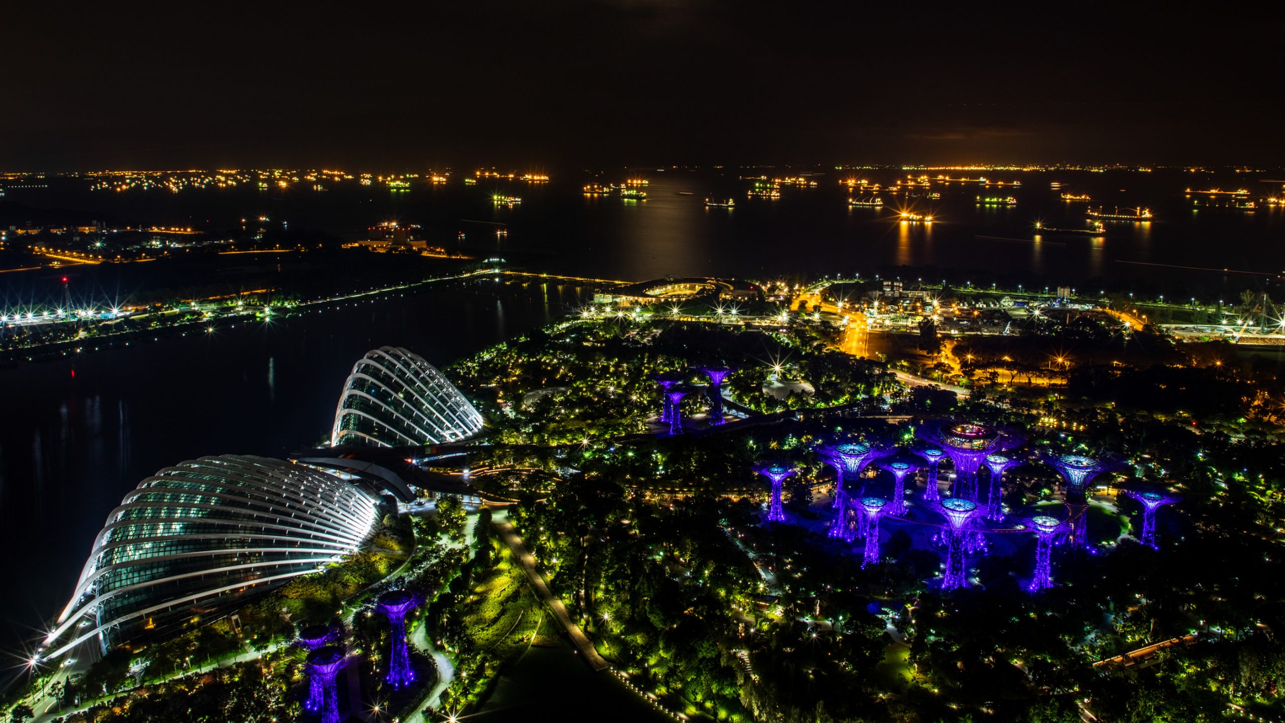 Supertrees illuminés à Singapour