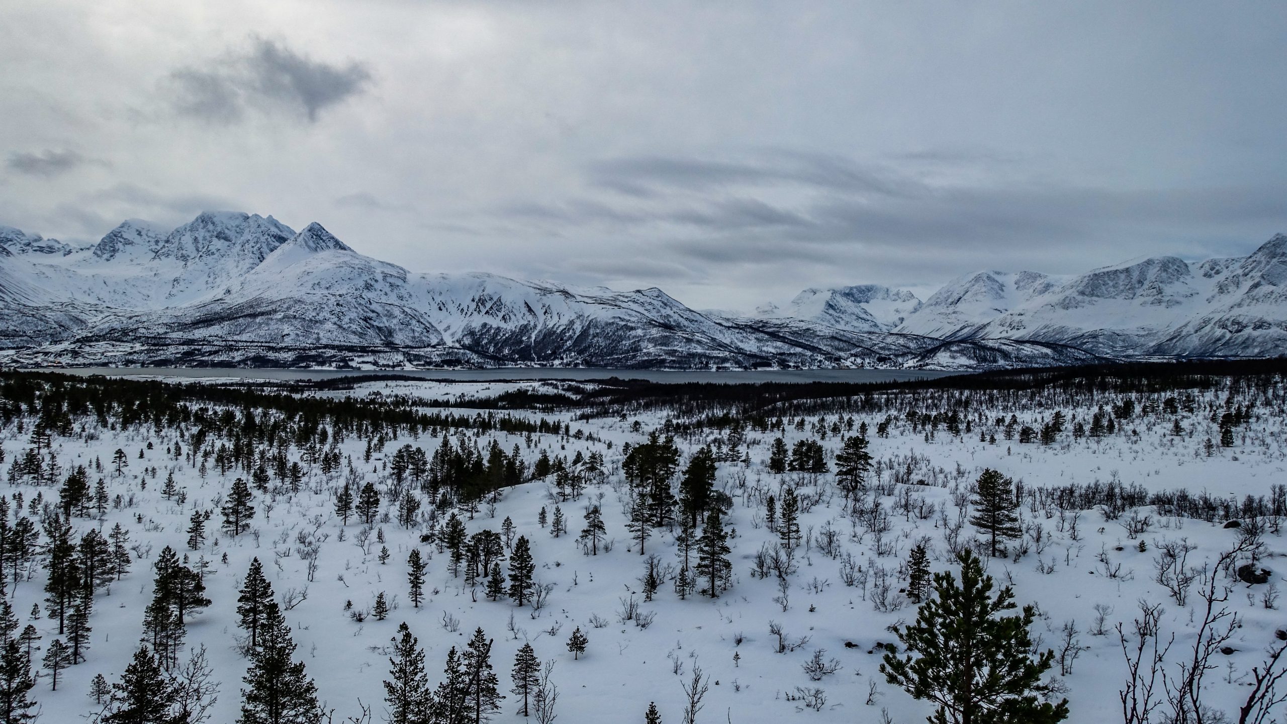 Toundra boréale enneigée