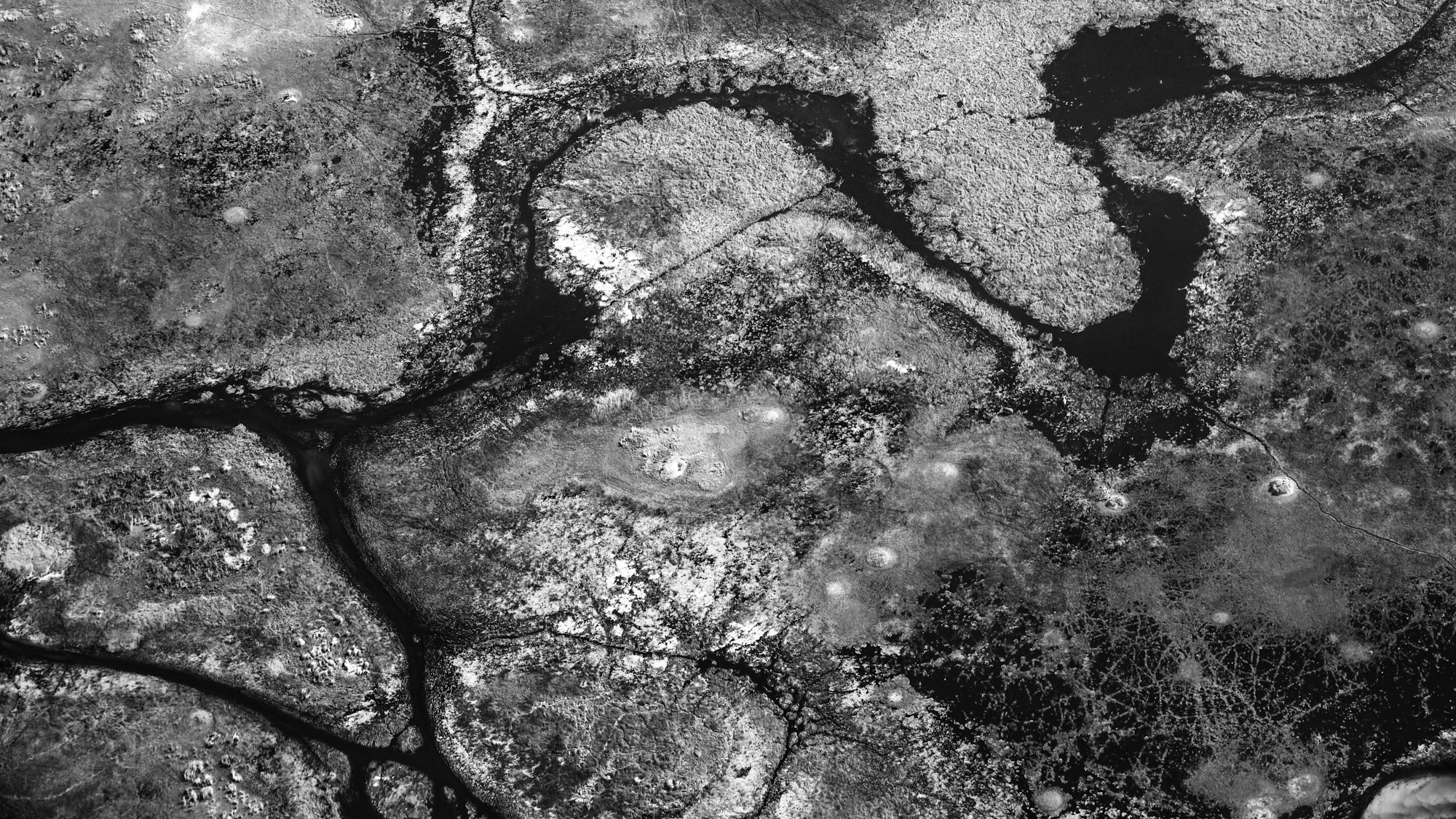 Tourbière et Canaux sinueux