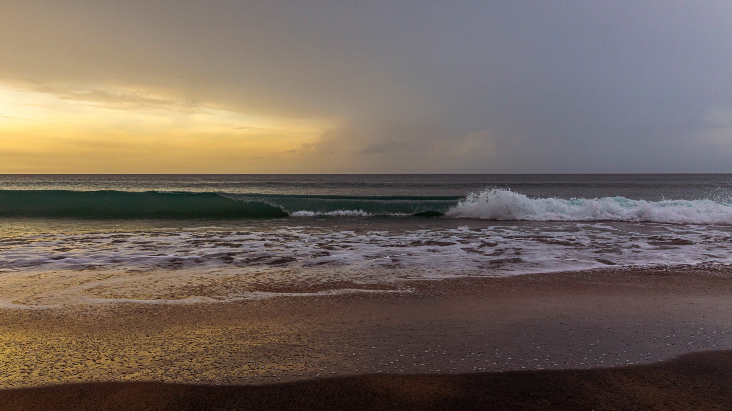 Vague Émeraude sur Plage