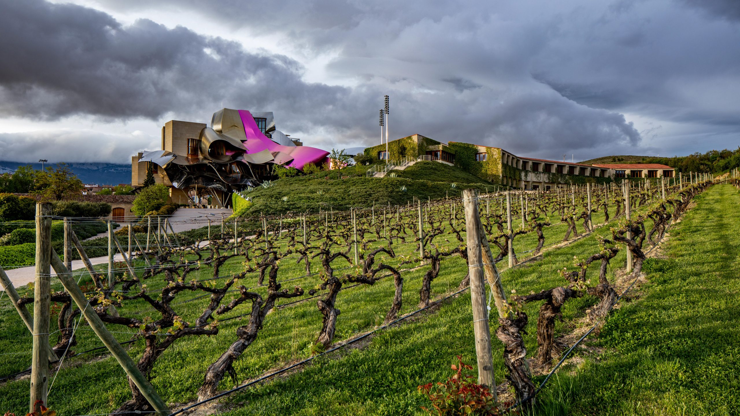 Vignoble du Marqués de Riscal