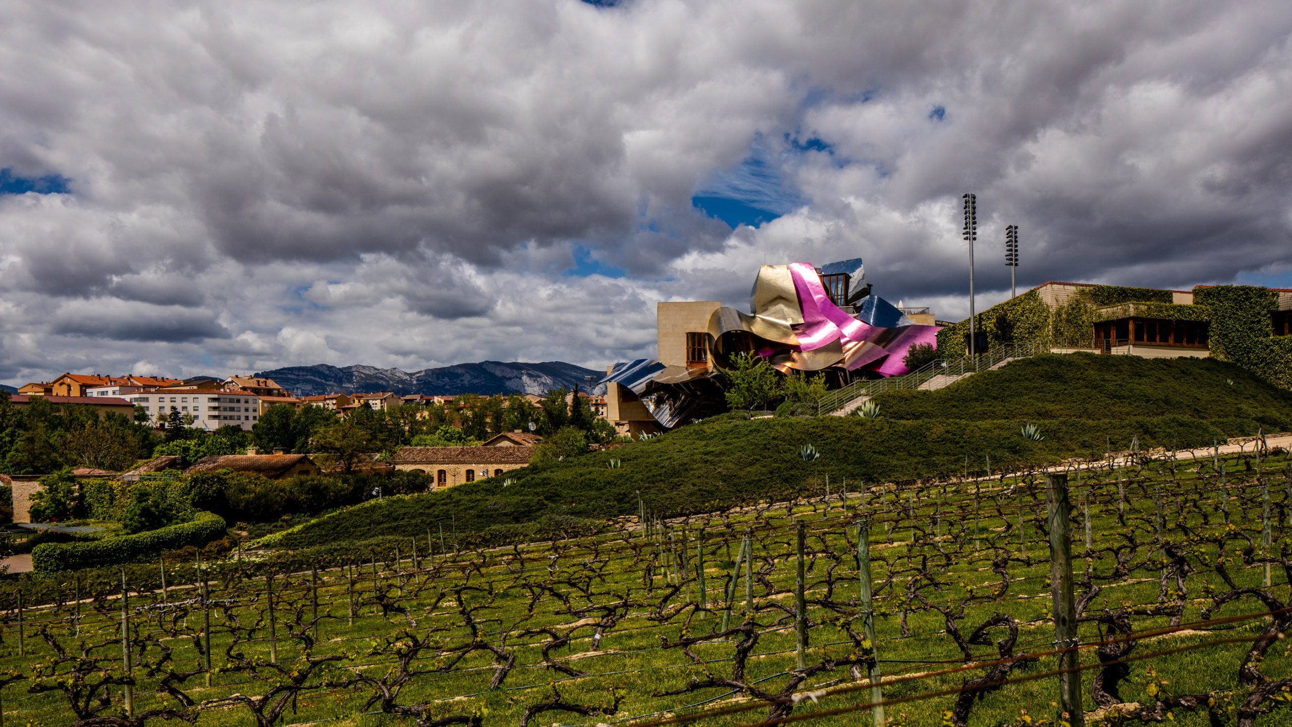 Vignoble et Hôtel Marqués de Riscal