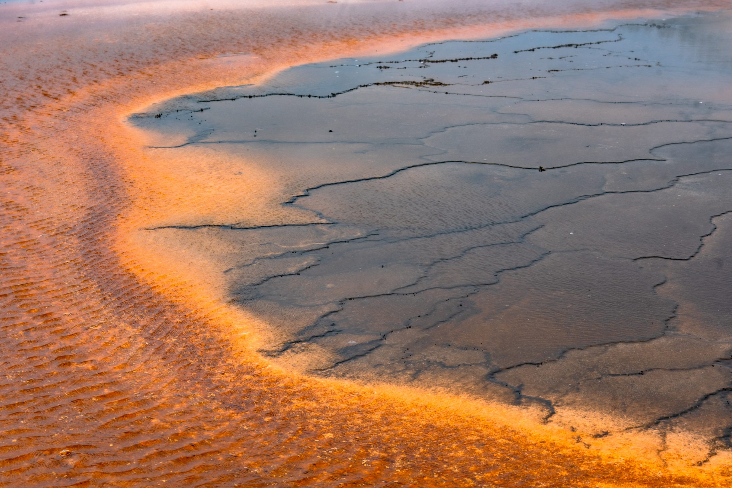 Anneau bactérien du Grand Prismatic Spring