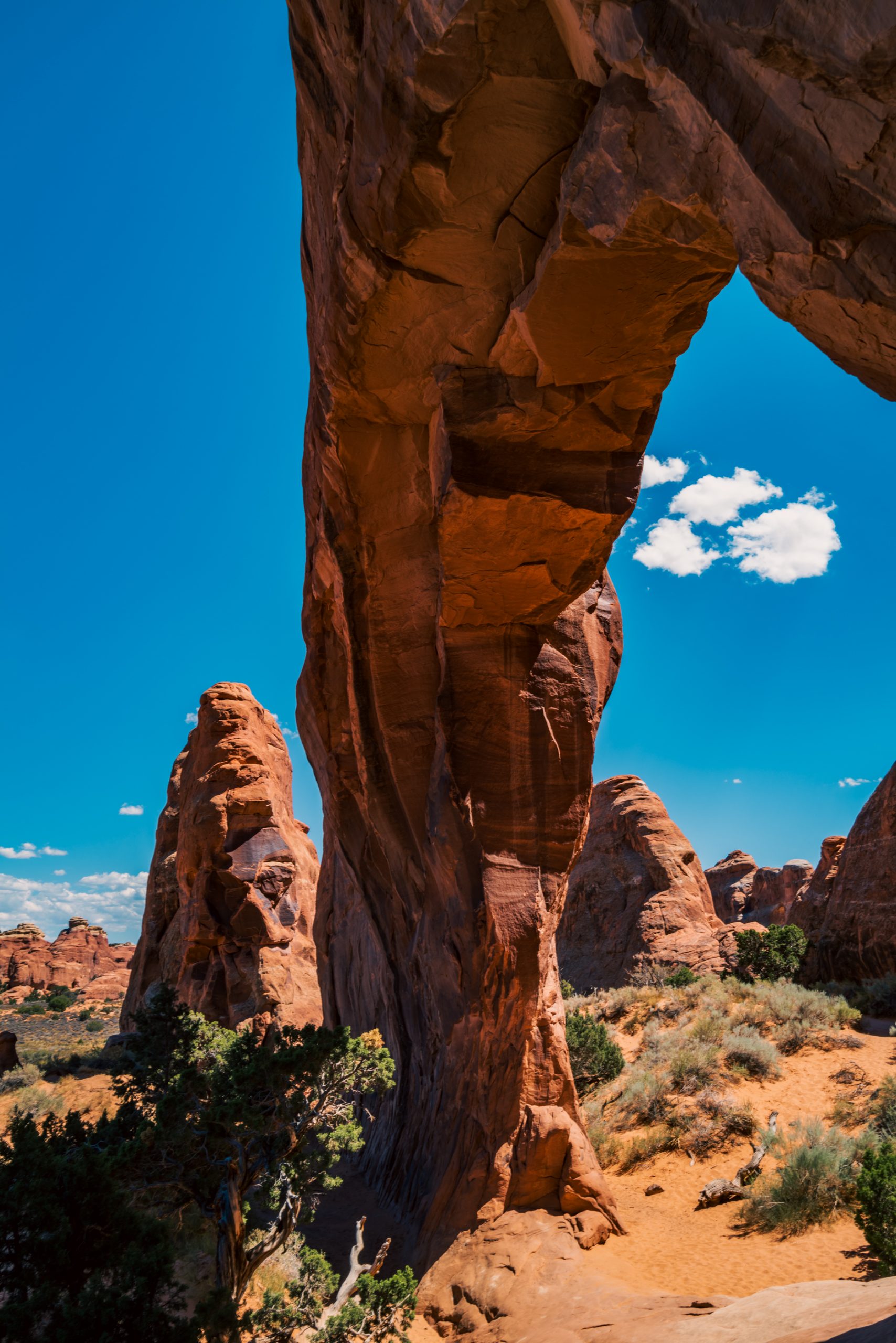 Arc Partition du Parc des Arches