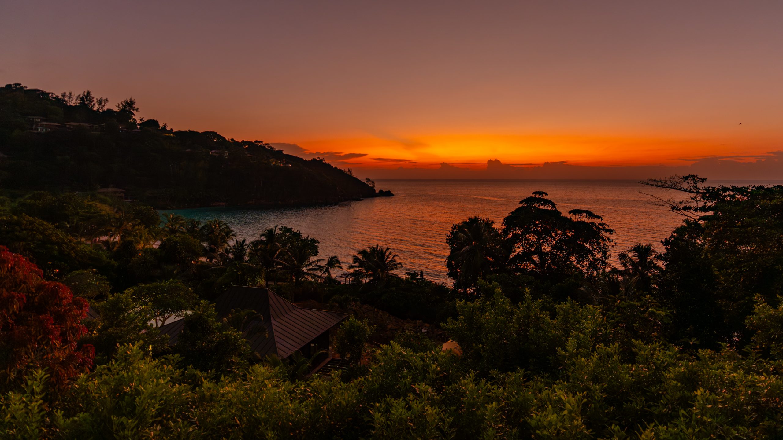 Baie Tropicale aux Palmiers
