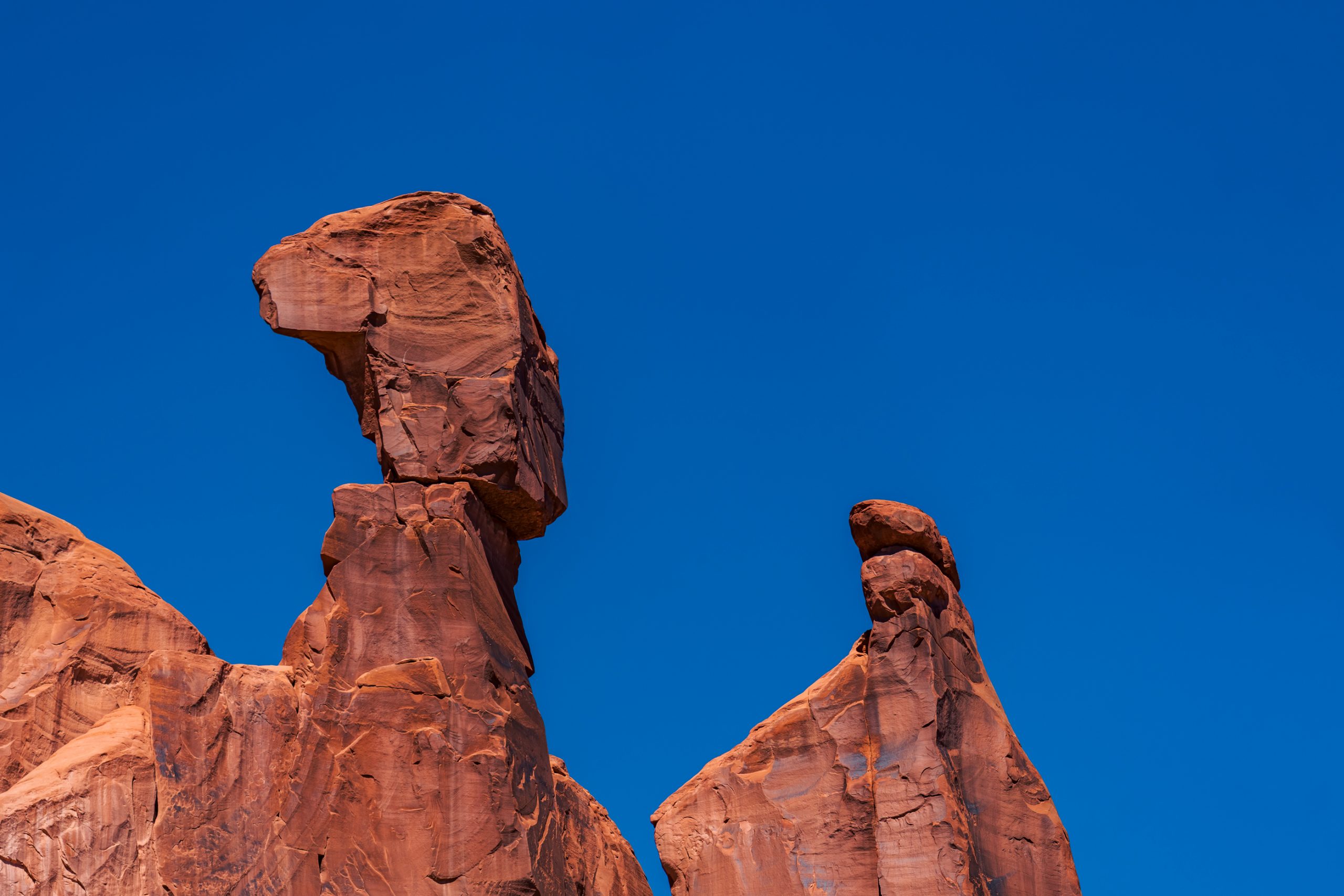 Balanced Rock Arches NP