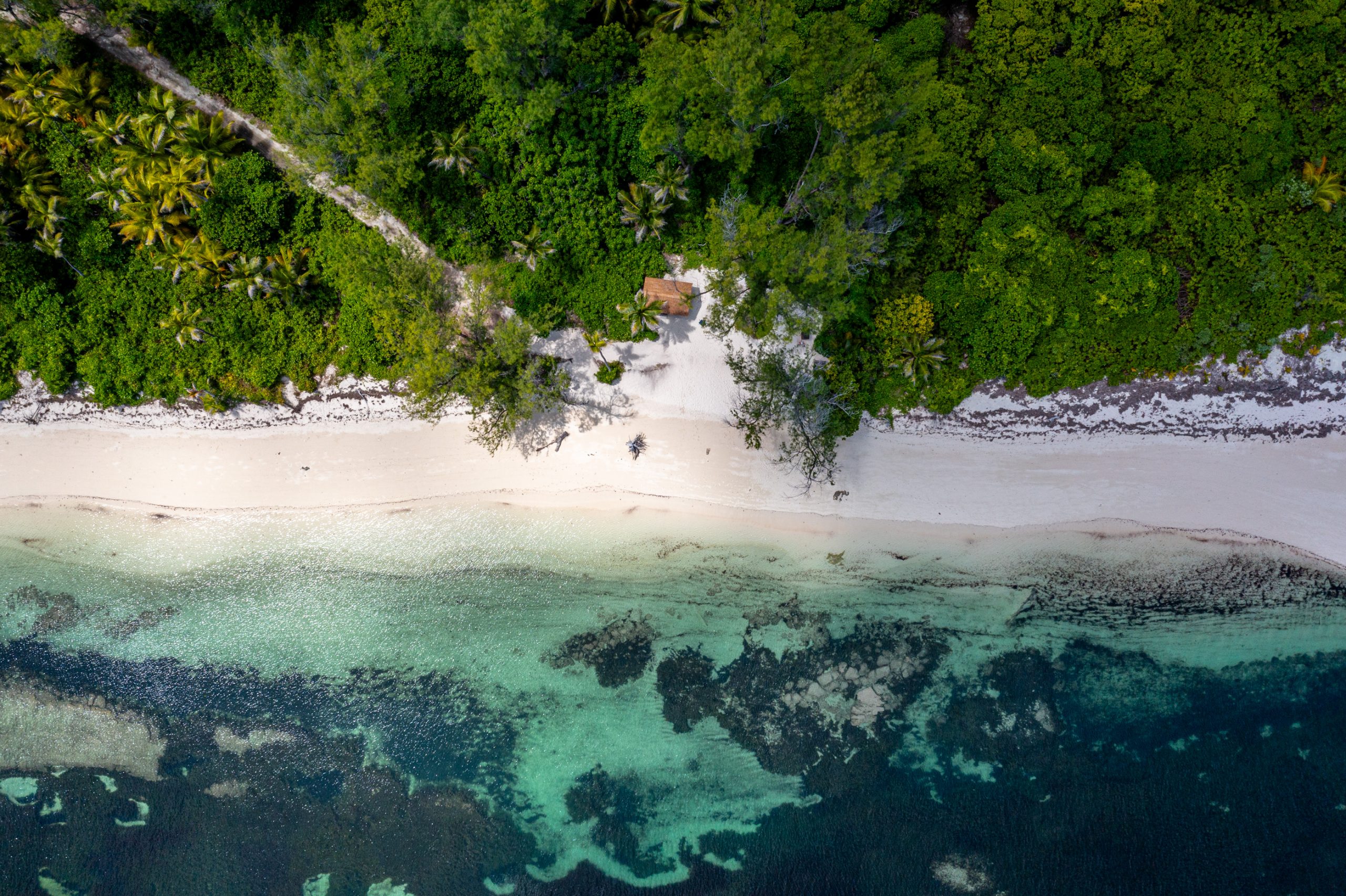 Cabane de plage sous palmiers