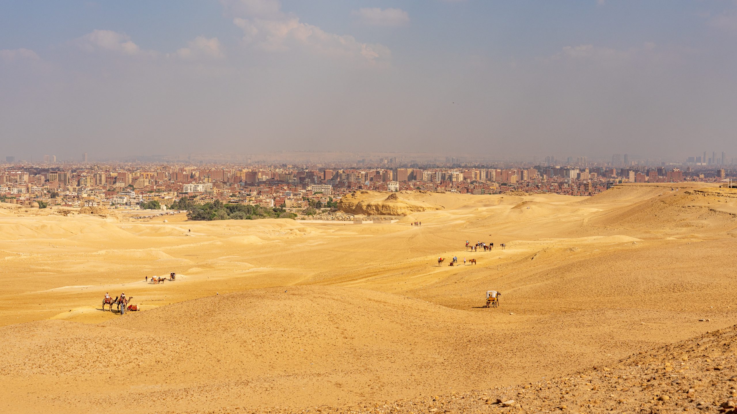 Caravane de chameaux à Gizeh