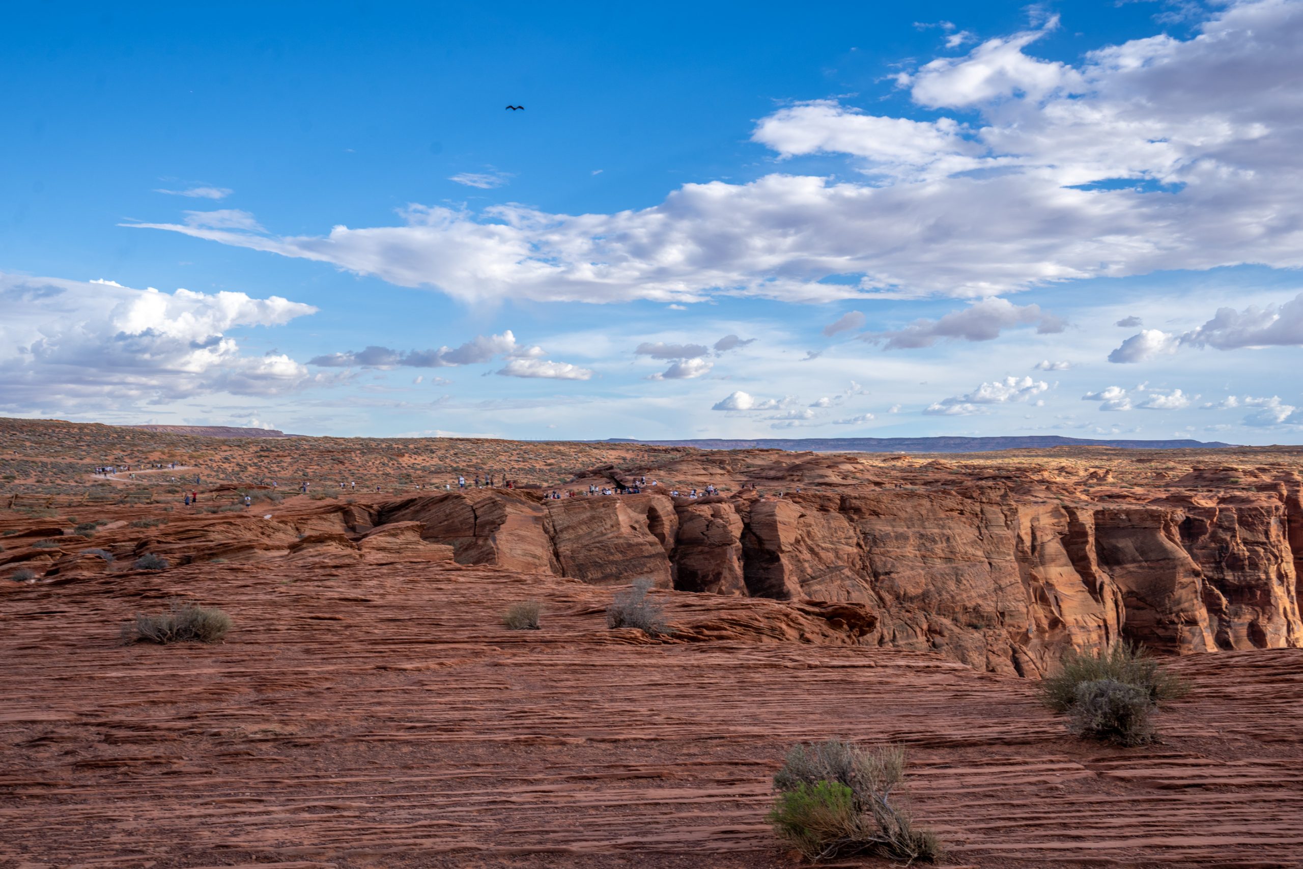 Falaises Rouges de Horseshoe Bend