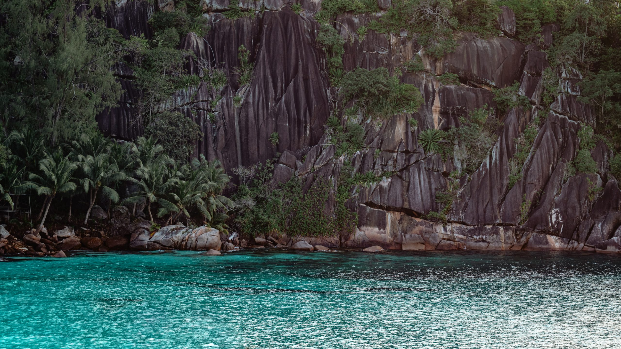 Falaises de granit et palmiers