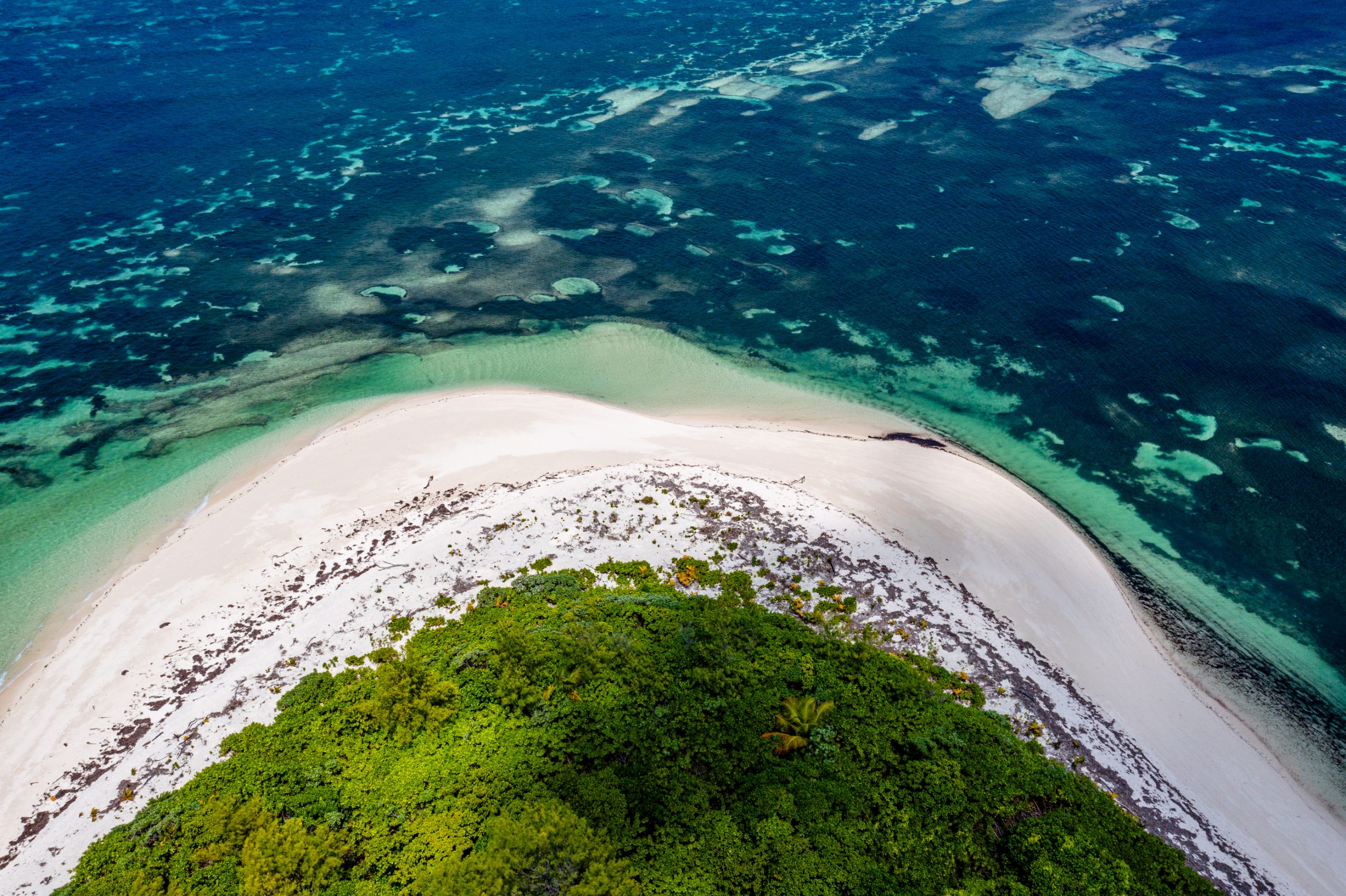 Îlot verdoyant et lagon