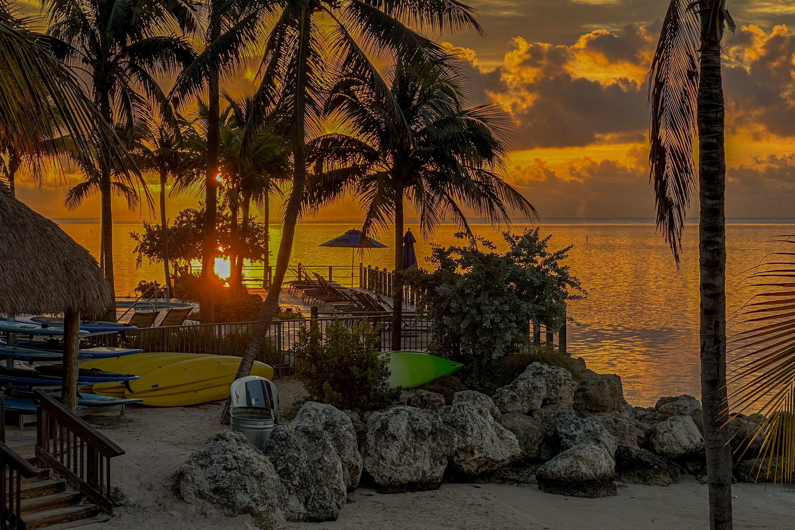 Kayaks et Palmiers au Couchant