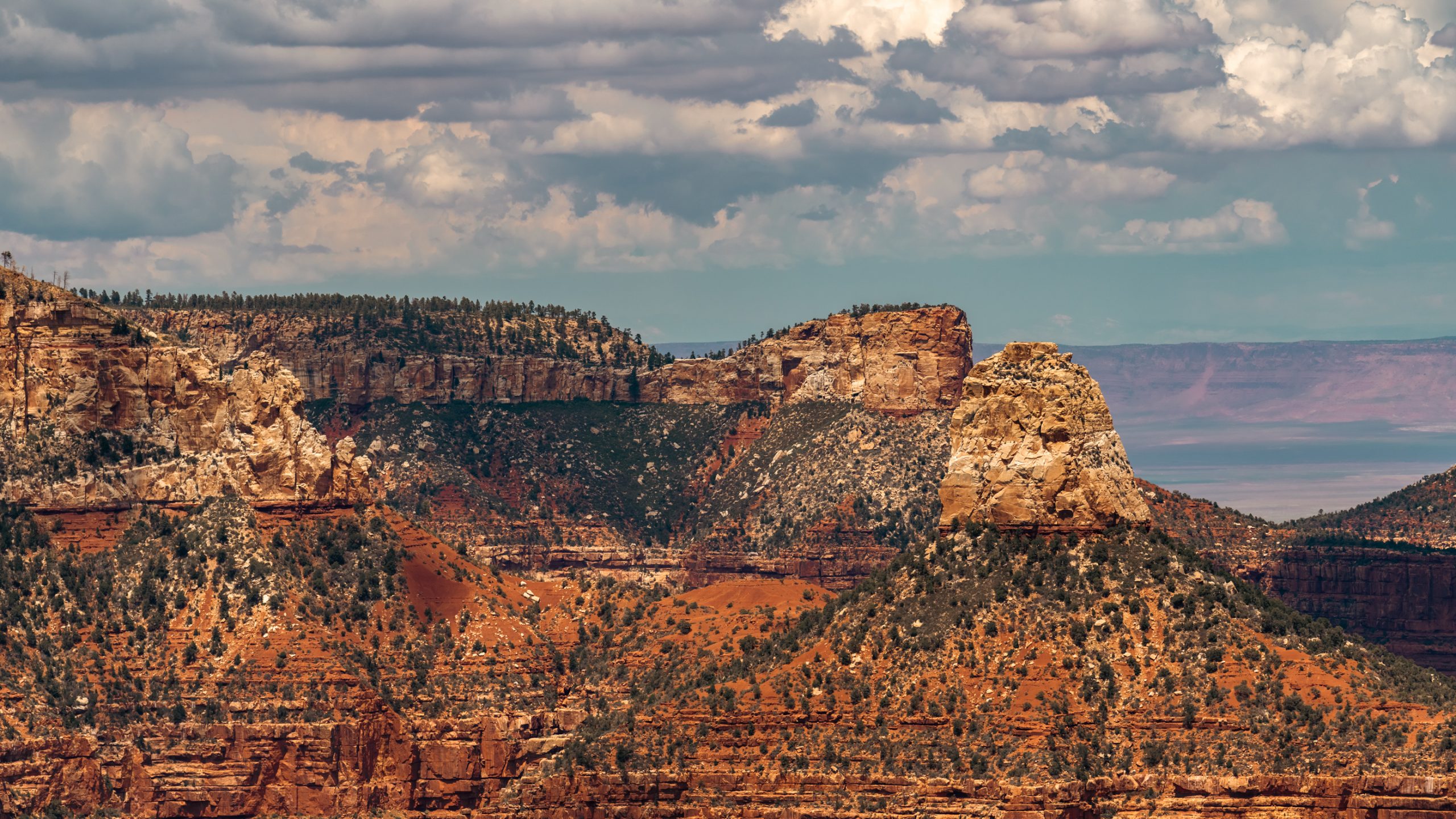 La Butte rouge du Grand Canyon