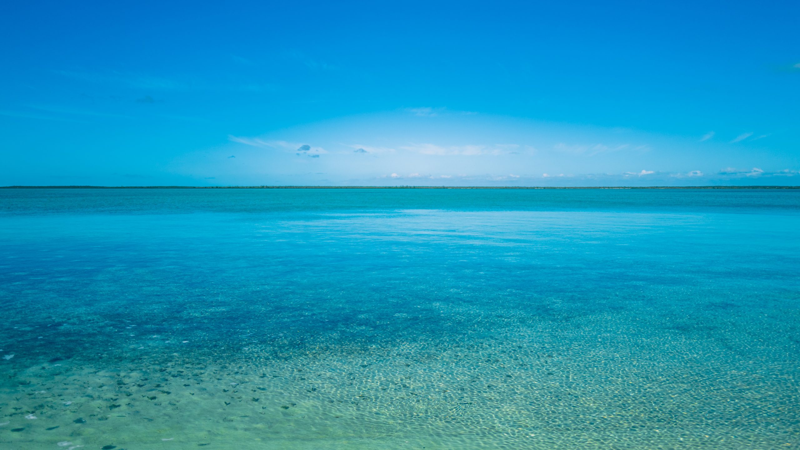 Lagune aux Eaux Turquoises