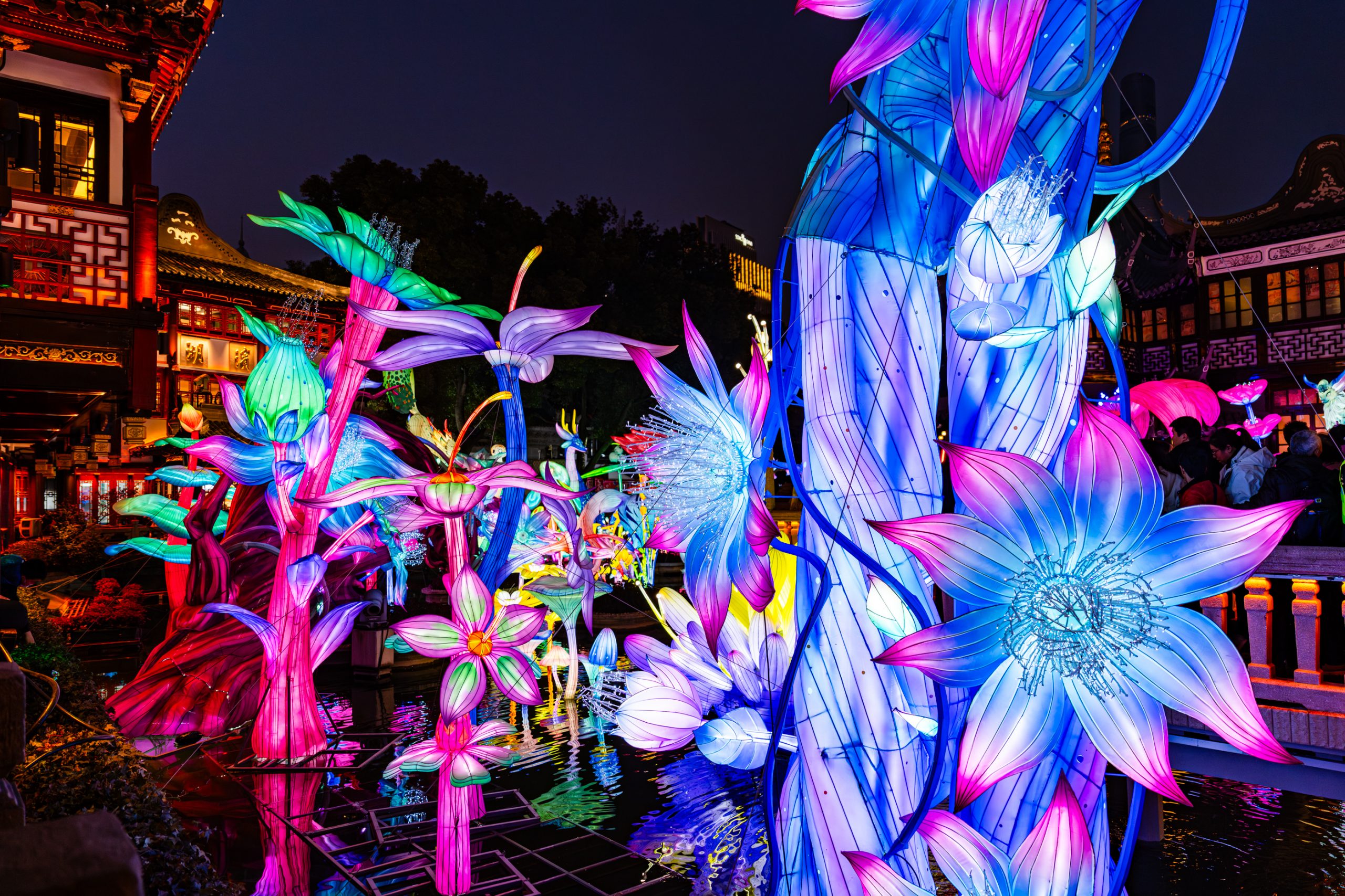 Lanternes florales du Jardin Yuyuan