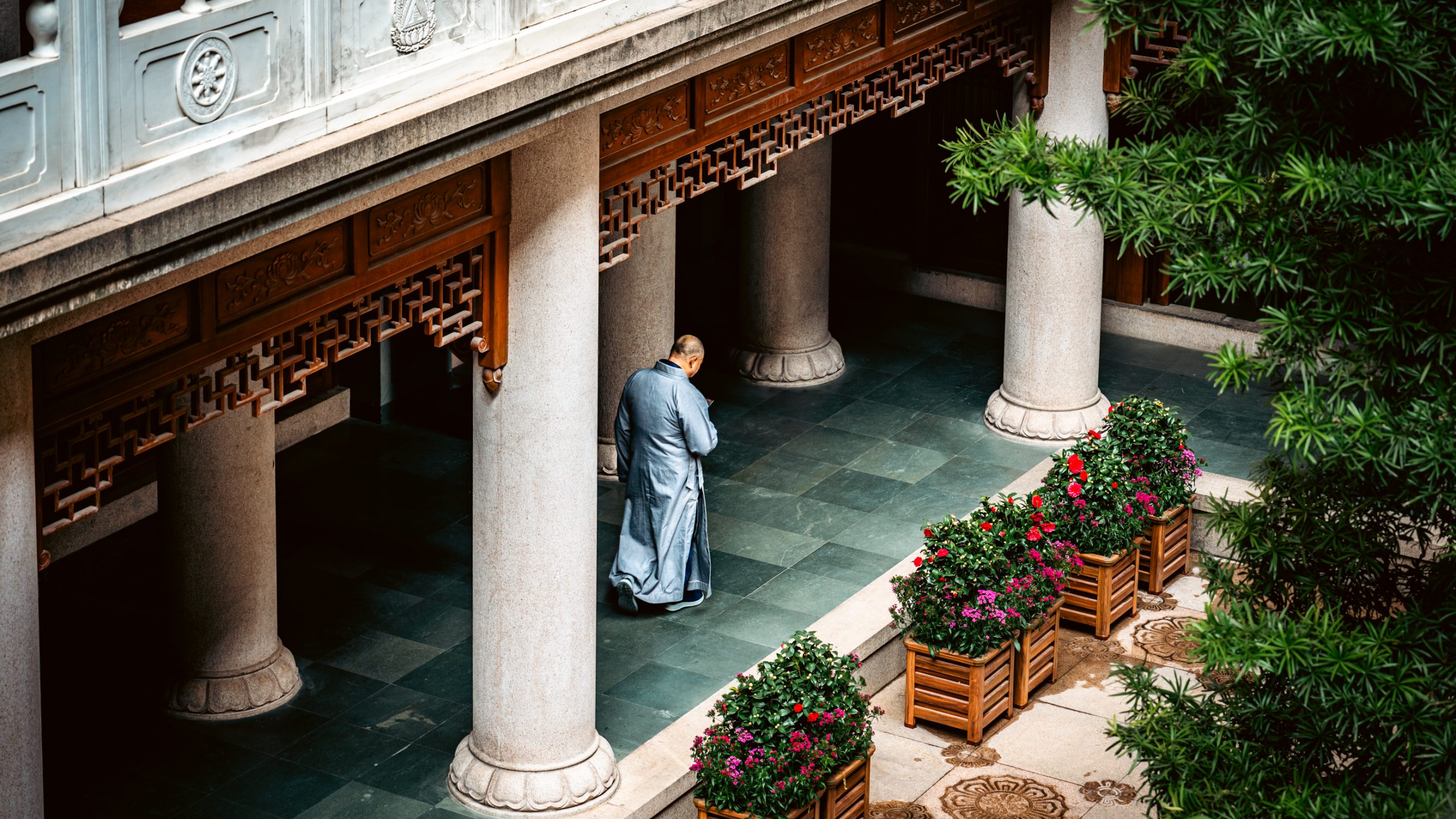 Moine Bouddhiste et Camélias